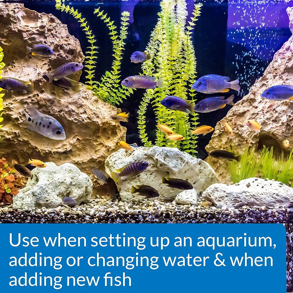 API Aquarium Start-Up Pack - Image 2
