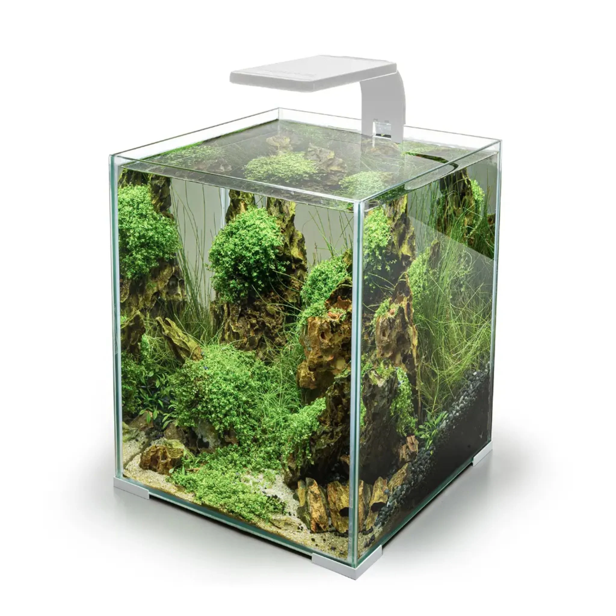 Aquael Aquarium Leddy Smart Plant Day & Night Light - 4.8W - Image 8