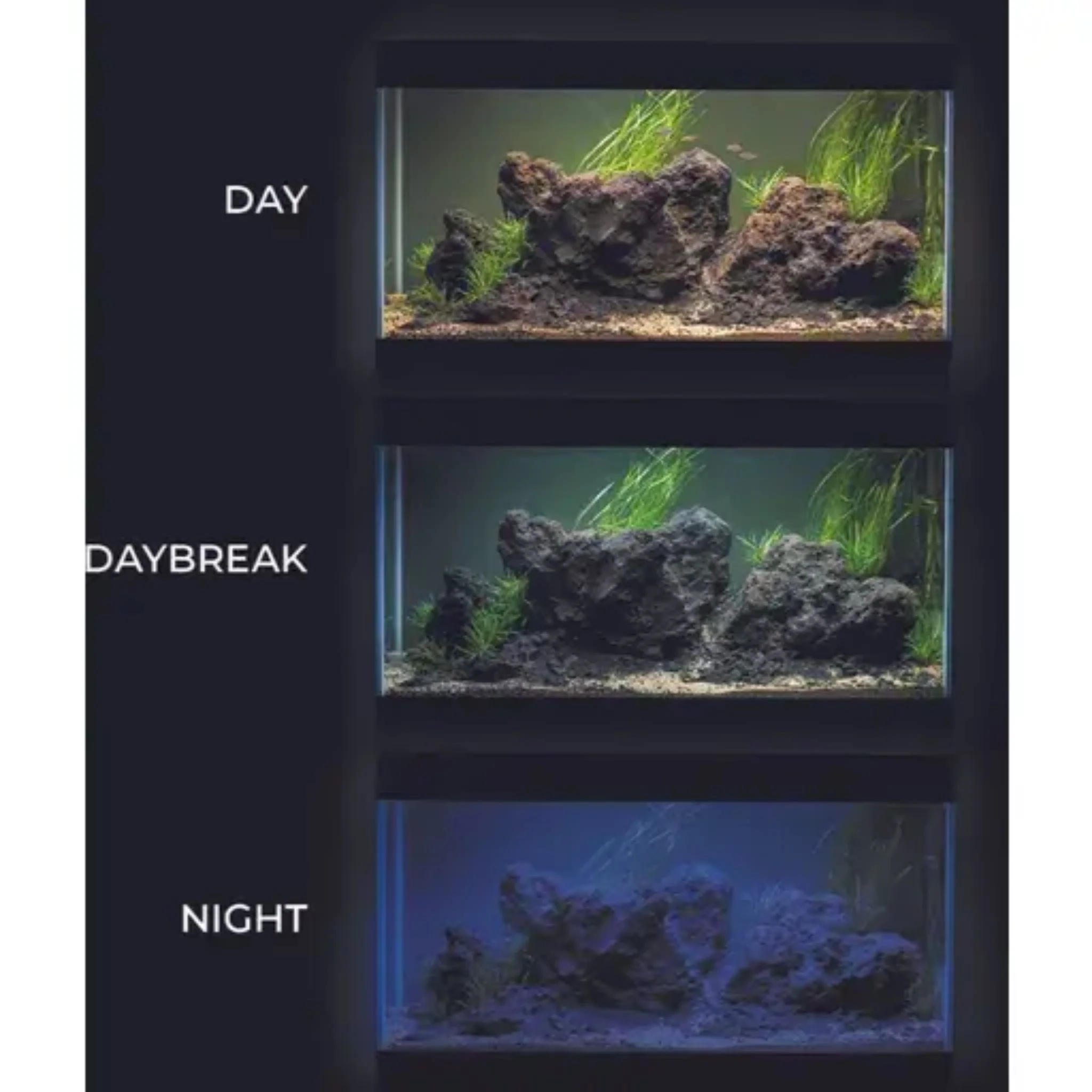 Aquael Aquarium Leddy Tube Plant - 10W - Image 5