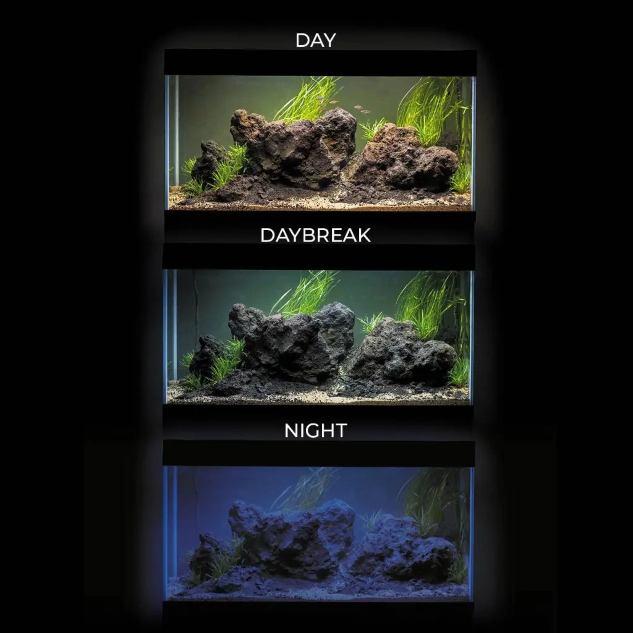 Aquael Fish Aquarium Ultra Scape Forest - 60L - Image 3
