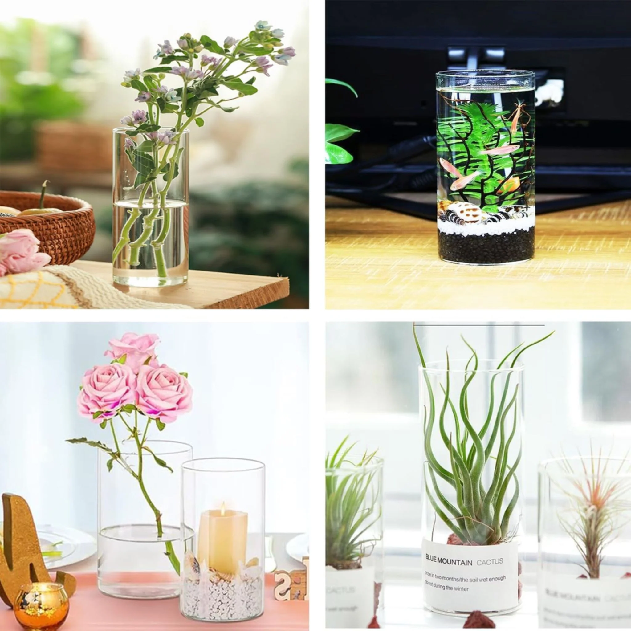 Aqualife Mini Cylindrical Bowl Tank For Small Fish - 19.5cmX11.5cm - Image 5