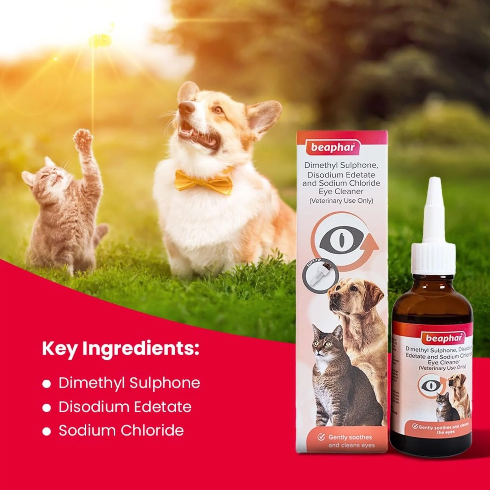 Beaphar Eye Cleaner Drop For Dog And Cat - 50ml - Image 5