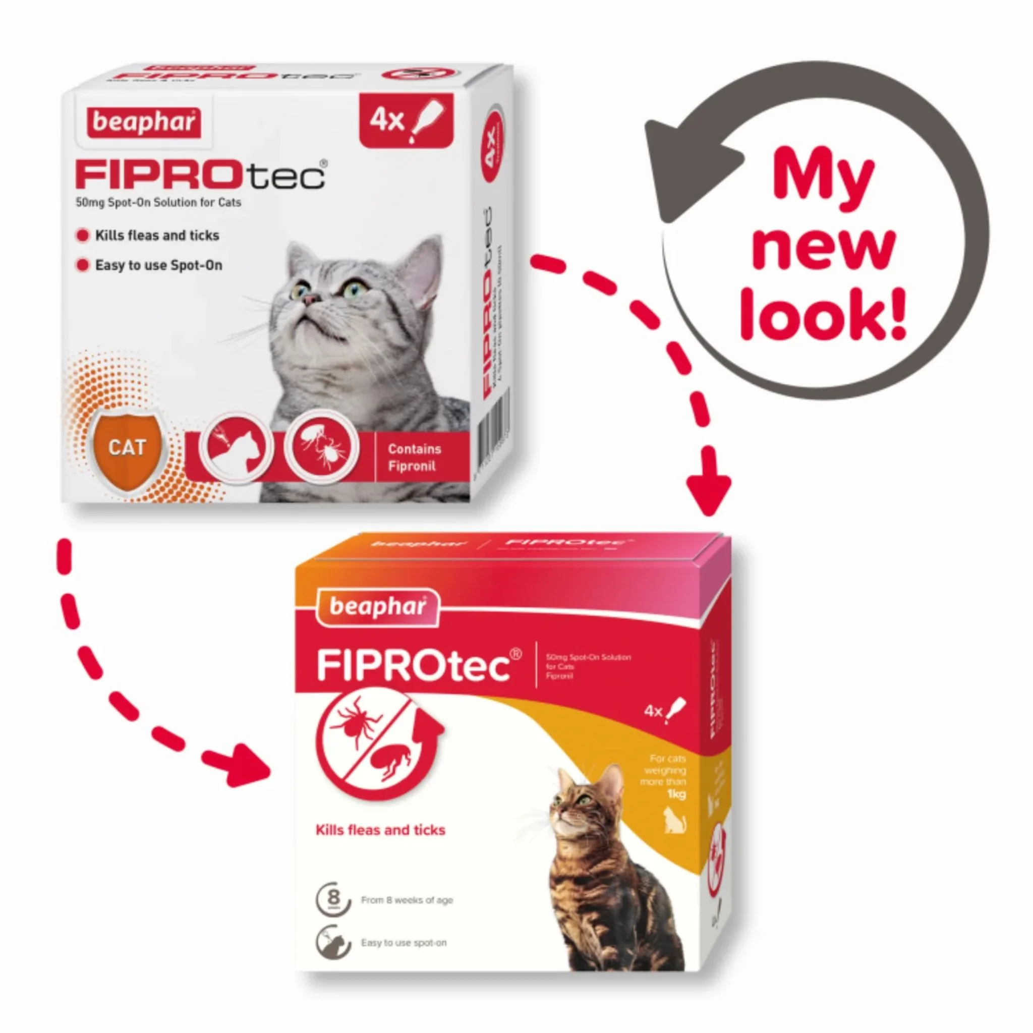 Beaphar Fiprotec For Cat - 4Pipettes - Image 2
