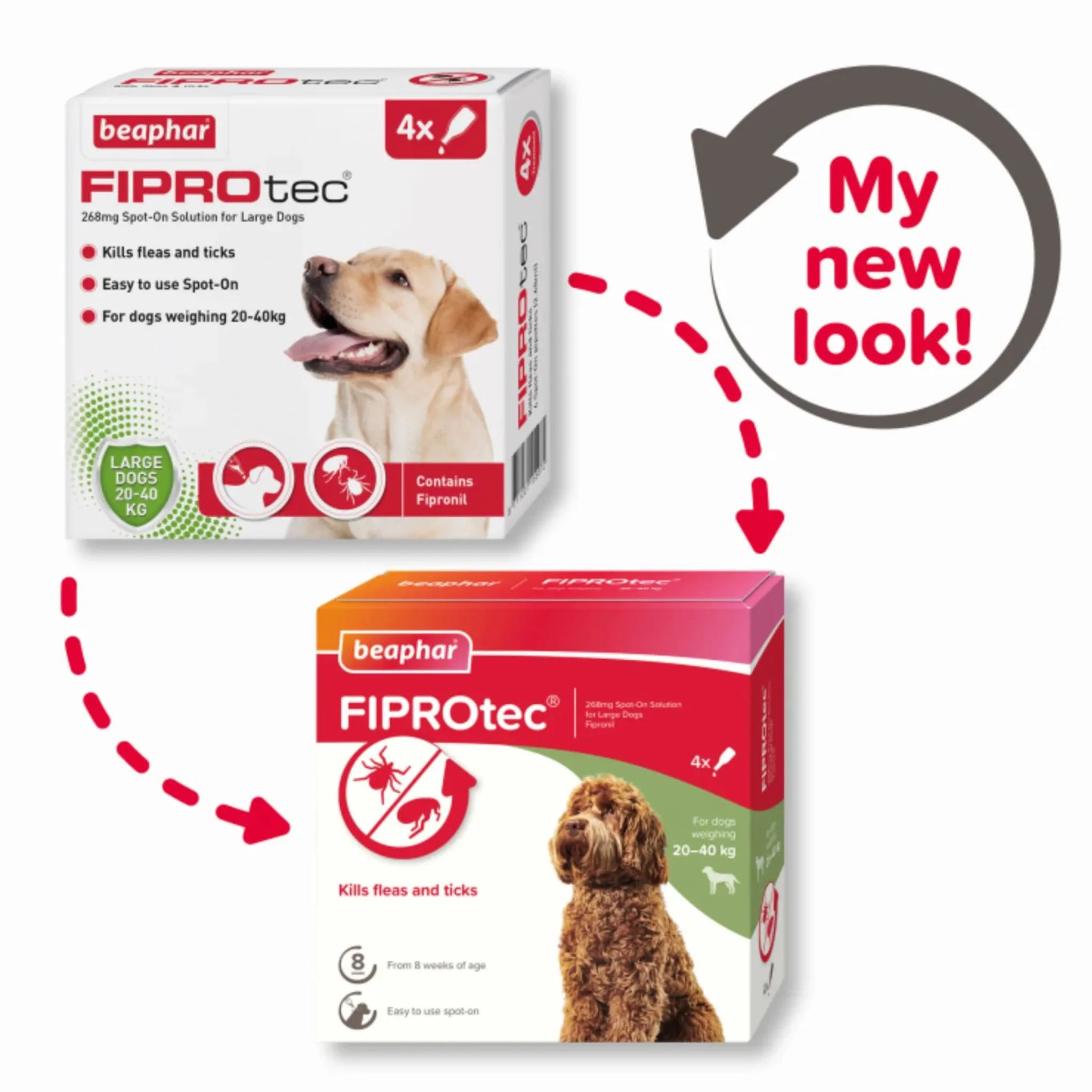 Beaphar Fiprotec Spot-On For Large Dog - 4 Pipette - Image 2