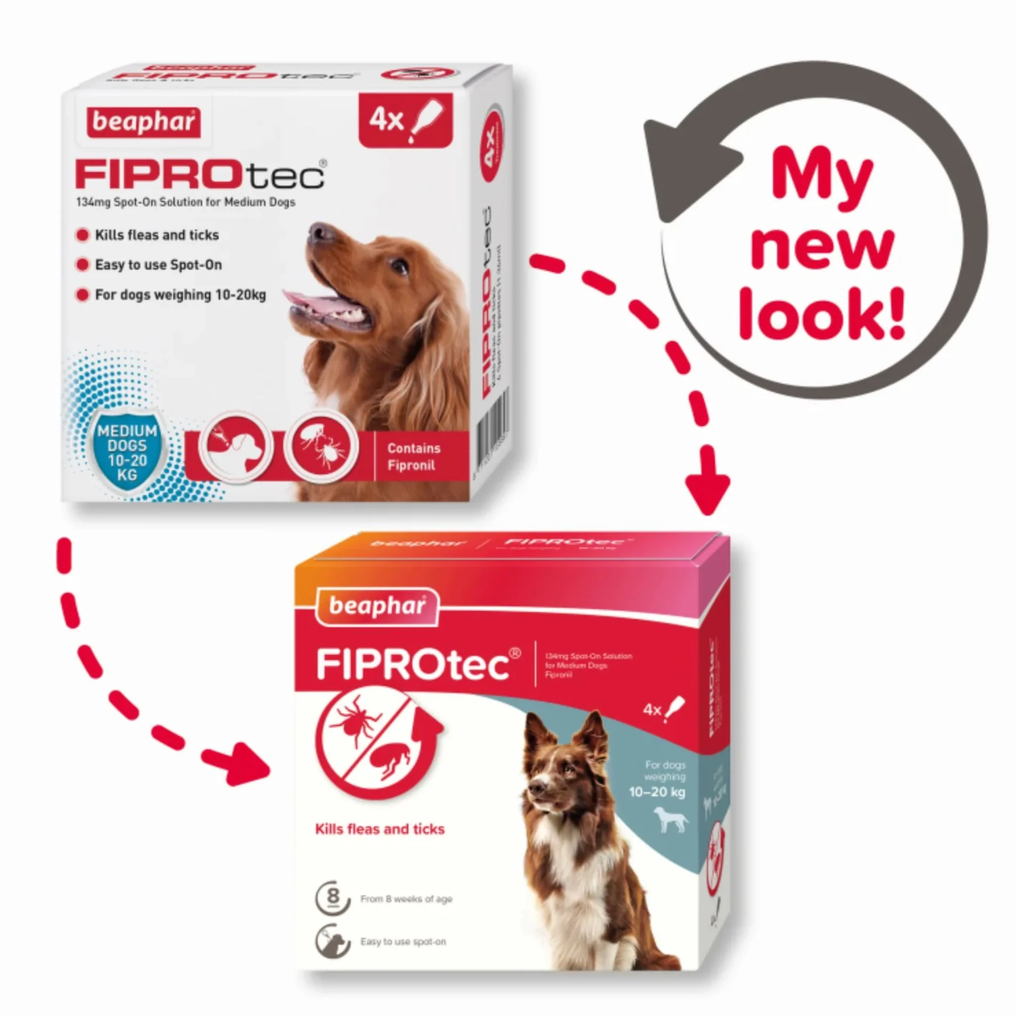 Beaphar Fiprotec Spot-On For Medium Dog - 4 Pipette - Image 2