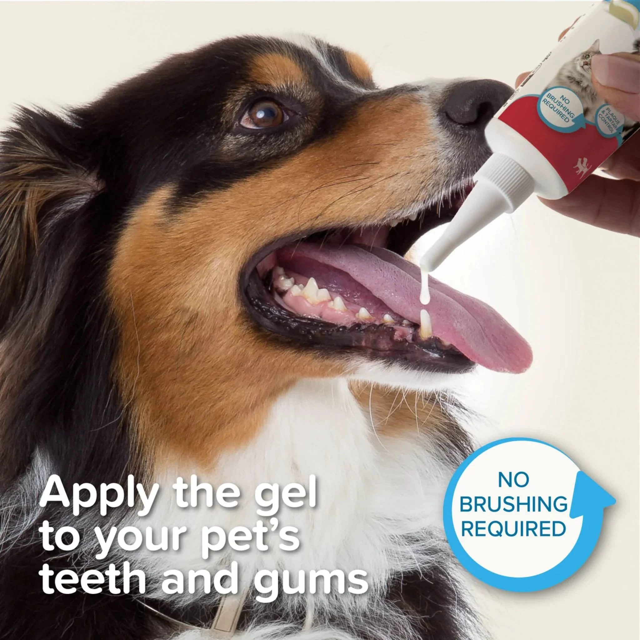 Beaphar Tooth Gel For Pets - 100g - Image 3