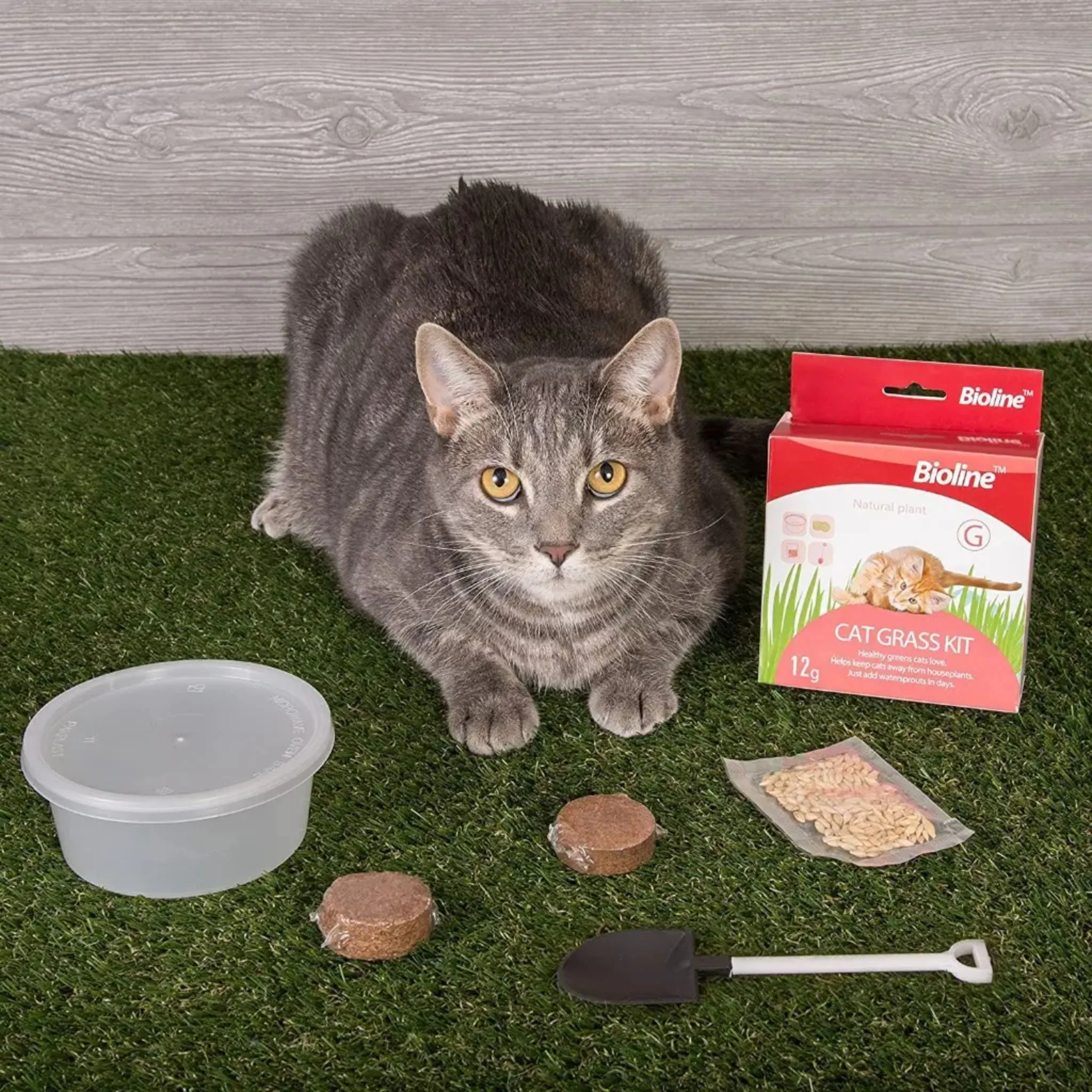 Bioline Catgrass Kit Digestive Aid For Cats - 12g - Image 2