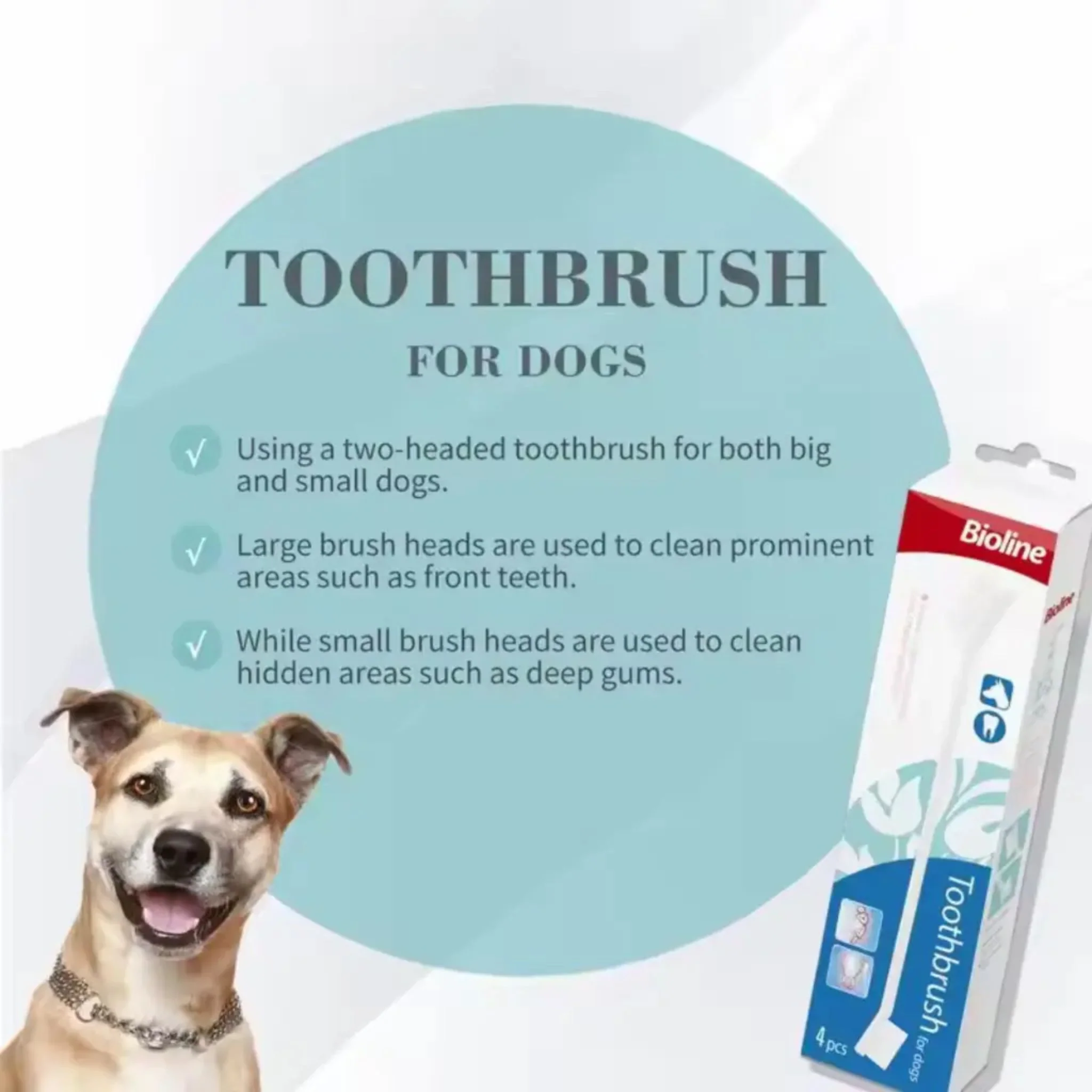 Bioline Dog Toothbrush Set - Image 4
