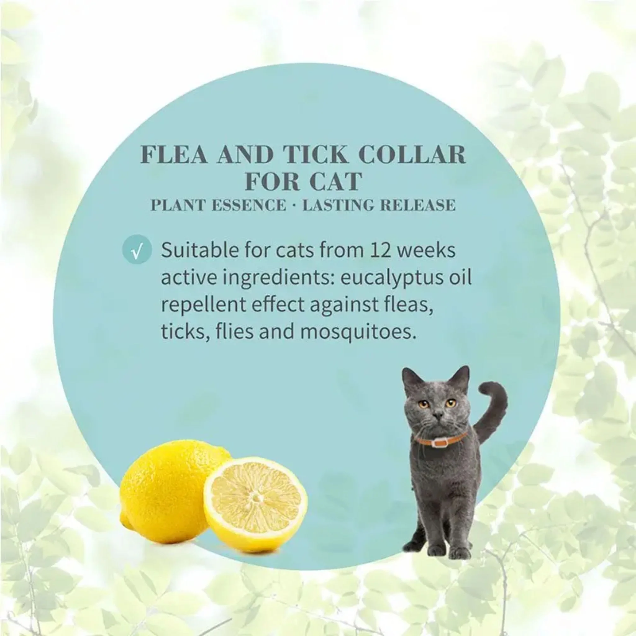 Bioline Eucalyptus & Lemon Scent Flea & Tick Collar For Cat - 35cm - Image 3