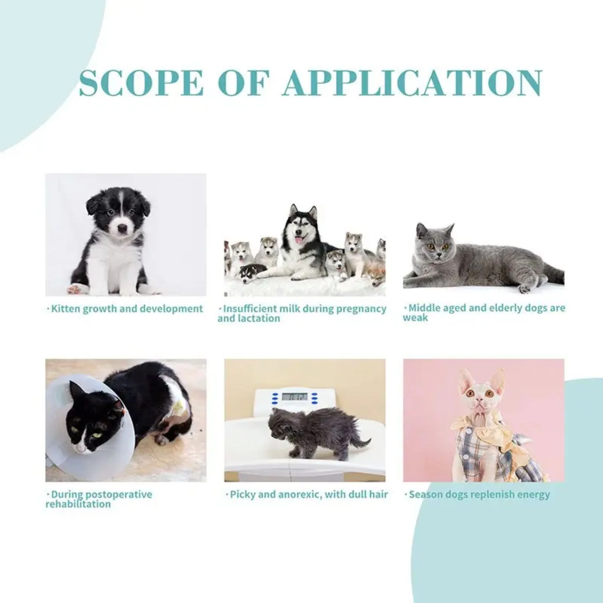 Bioline Goats Milk Calcium Tablets Pet Supplement For All Ages - Image 3