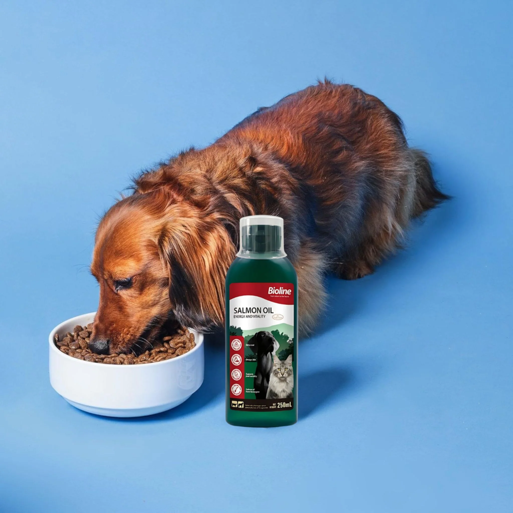 Bioline Norwegian Salmon Oil For Pets - 250ml - Image 4