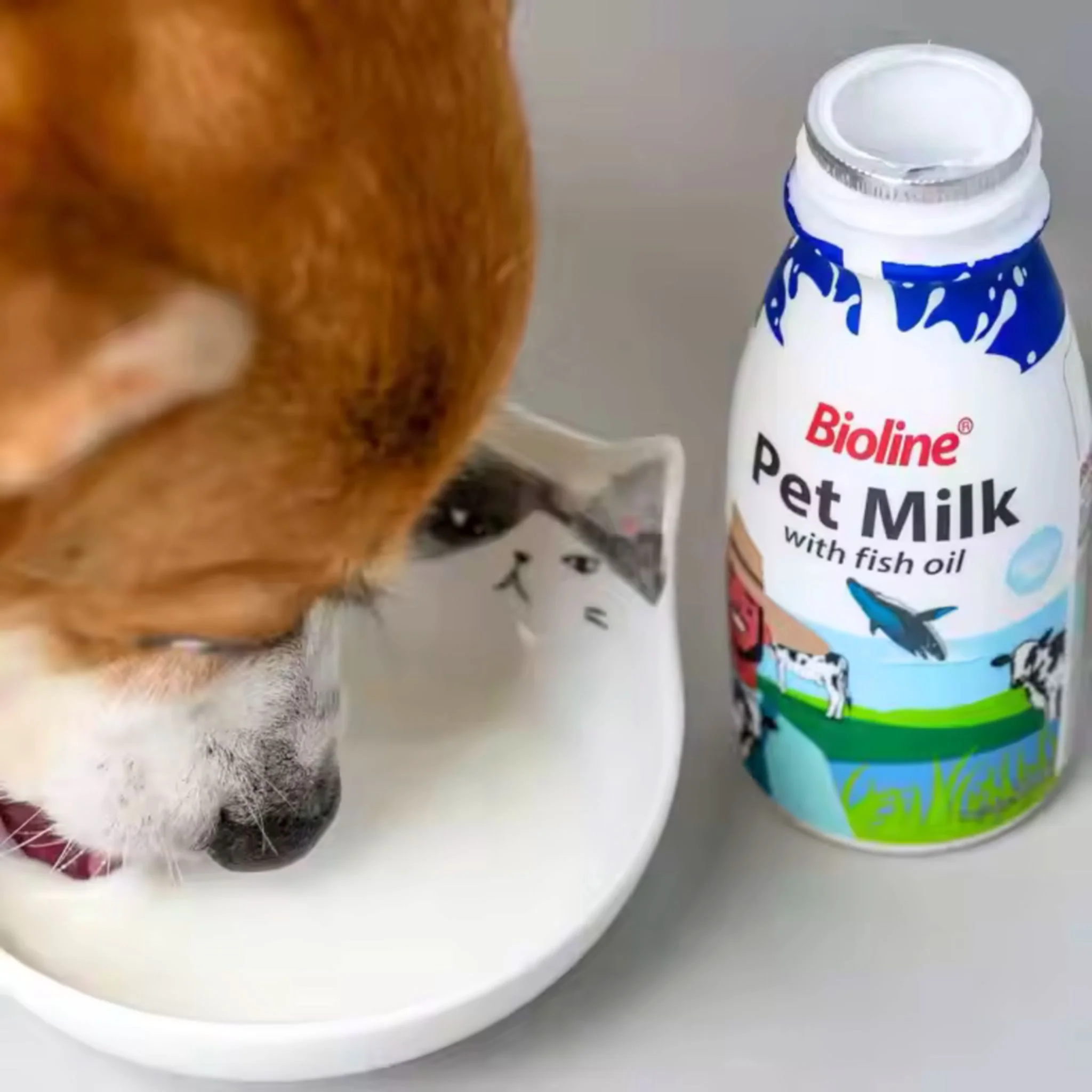 Bioline Pet Milk With Fish Oil For Cat & Dog - 220ml - Image 4