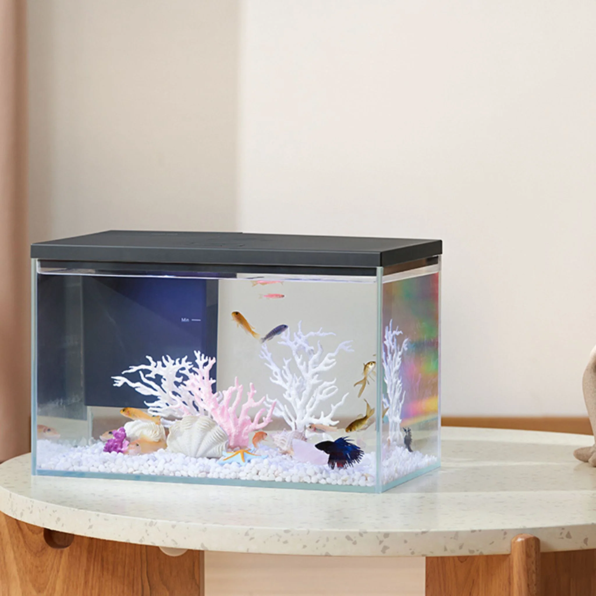 Boyu Pawgether GR-1s WIFI Desktop Fish Aquarium 14L - 380x210x240mm - Image 5