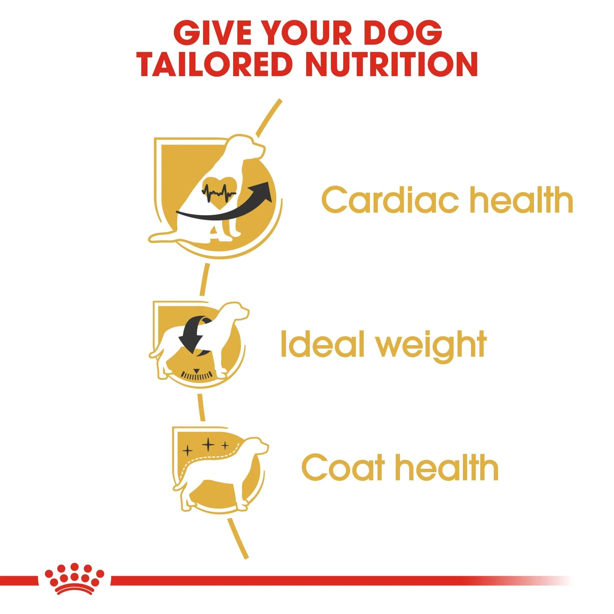 Royal Canin Breed Health Nutrition Cavalier King Charles Adult Dry Food - 1.5kg - Image 3