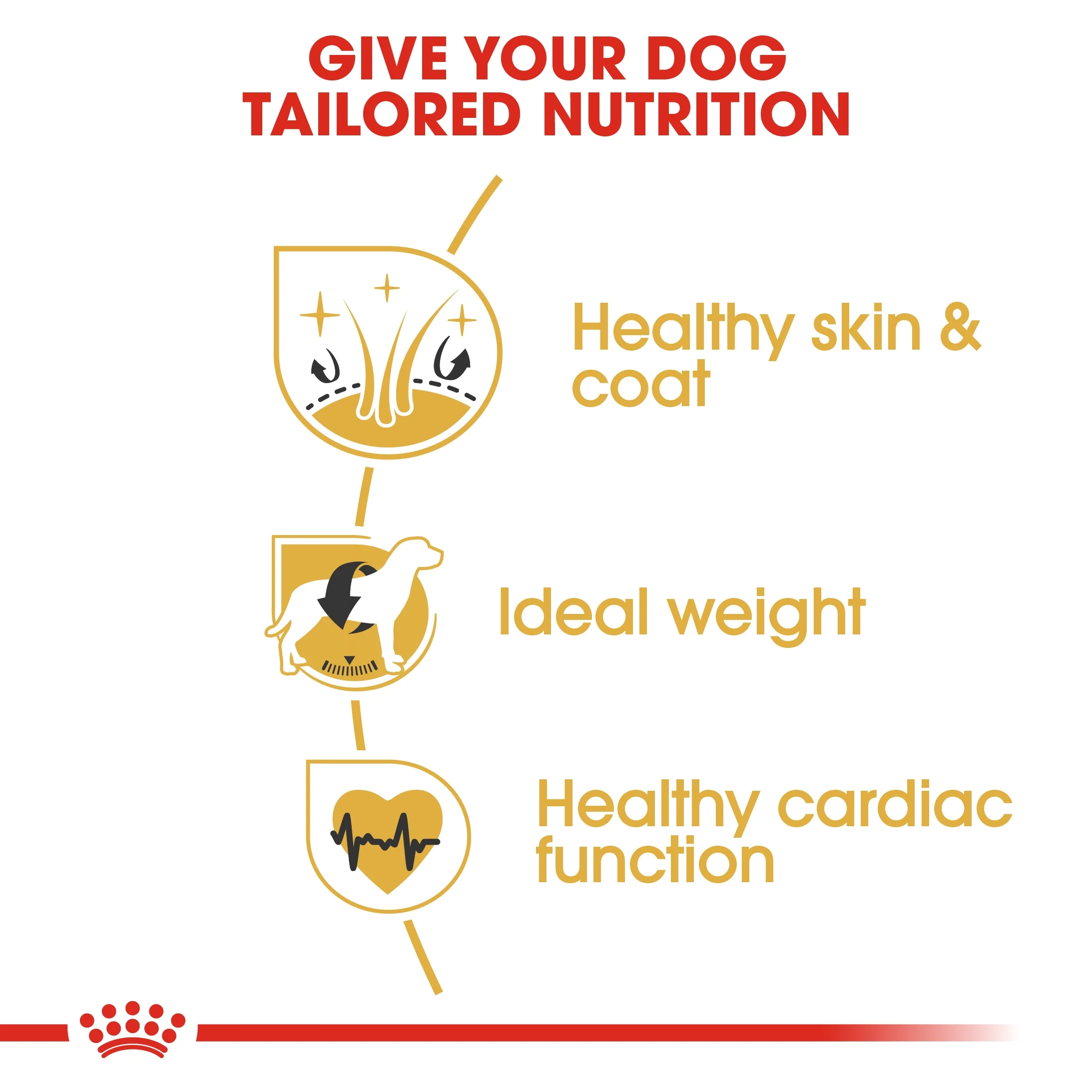 Royal Canin Breed Health Nutrition Cocker Adult Dry Food - 3kg - Image 6