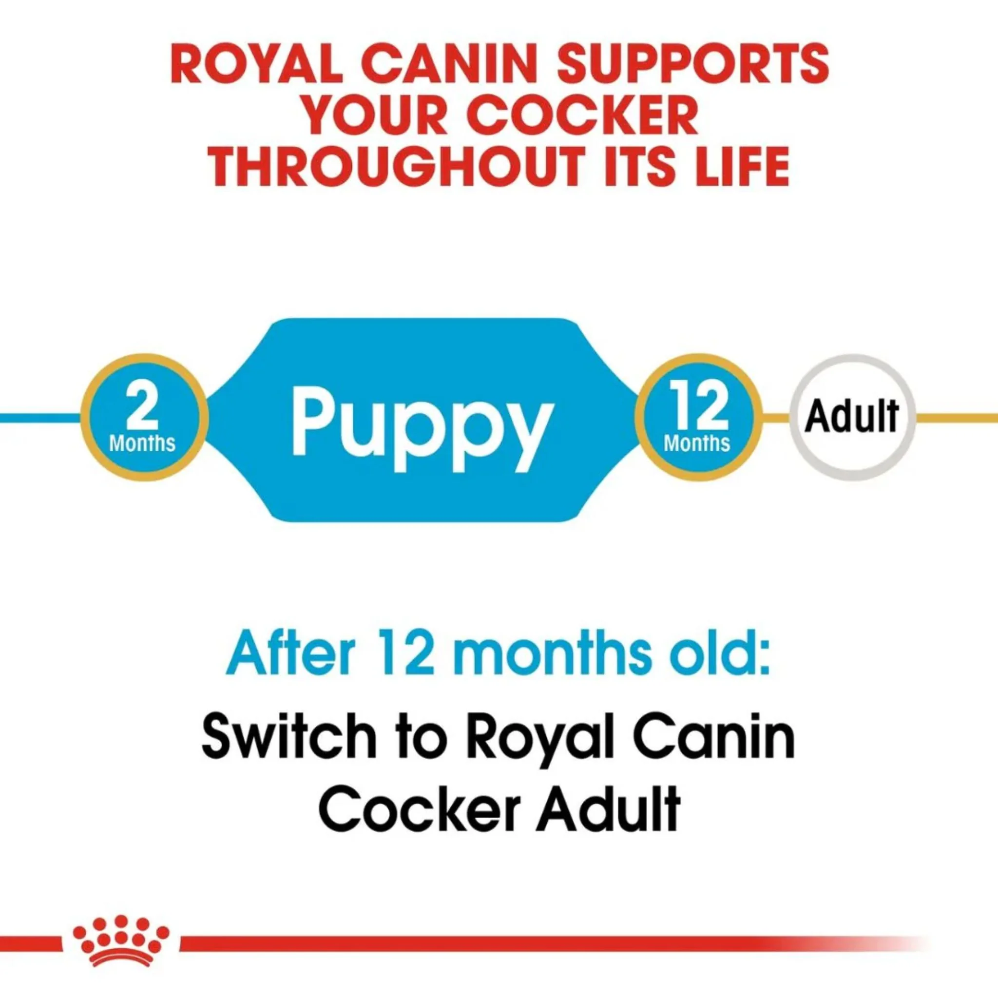 Royal Canin Breed Health Nutrition Cocker Puppy Dry Food - 3kg - Image 4
