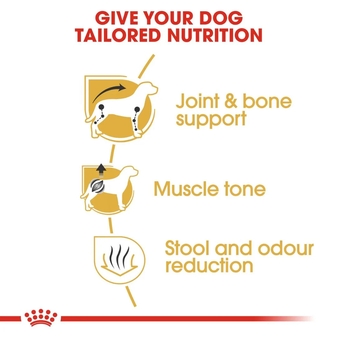 Royal Canin Breed Health Nutrition Dachshund Adult Dry Food - 1.5kg - Image 5