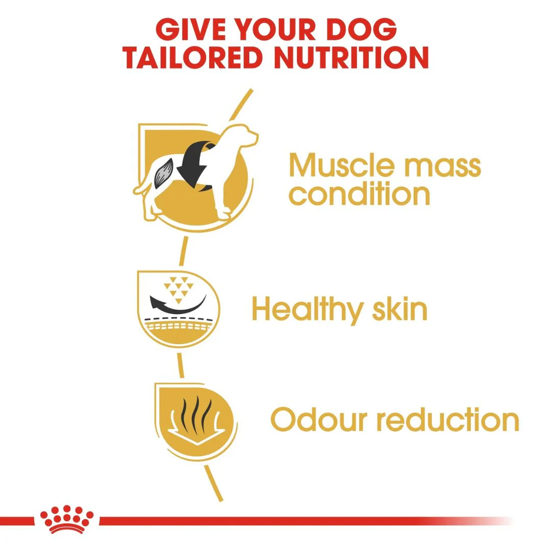 Royal Canin Breed Health Nutrition French Bulldog Adult Dry Food - 3kg - Image 3