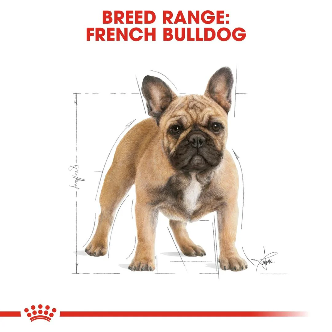 Royal Canin Breed Health Nutrition French Bulldog Adult Dry Food - 3kg - Image 4