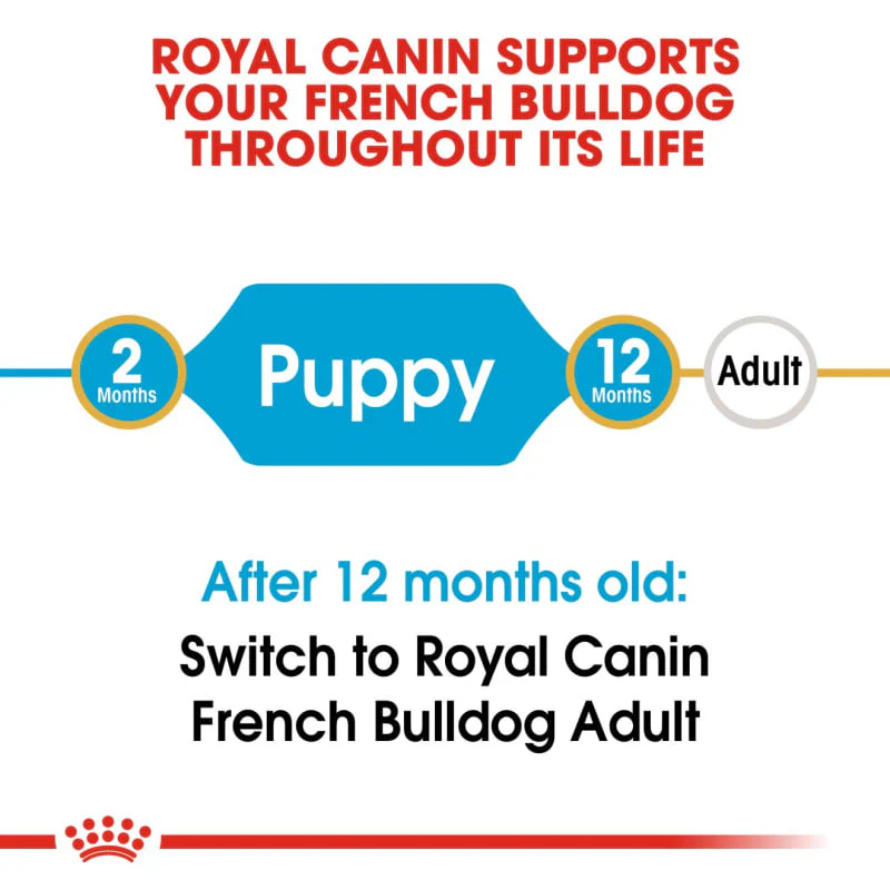 Royal Canin Breed Health Nutrition French Bulldog Puppy Dry Food - 3Kg - Image 4