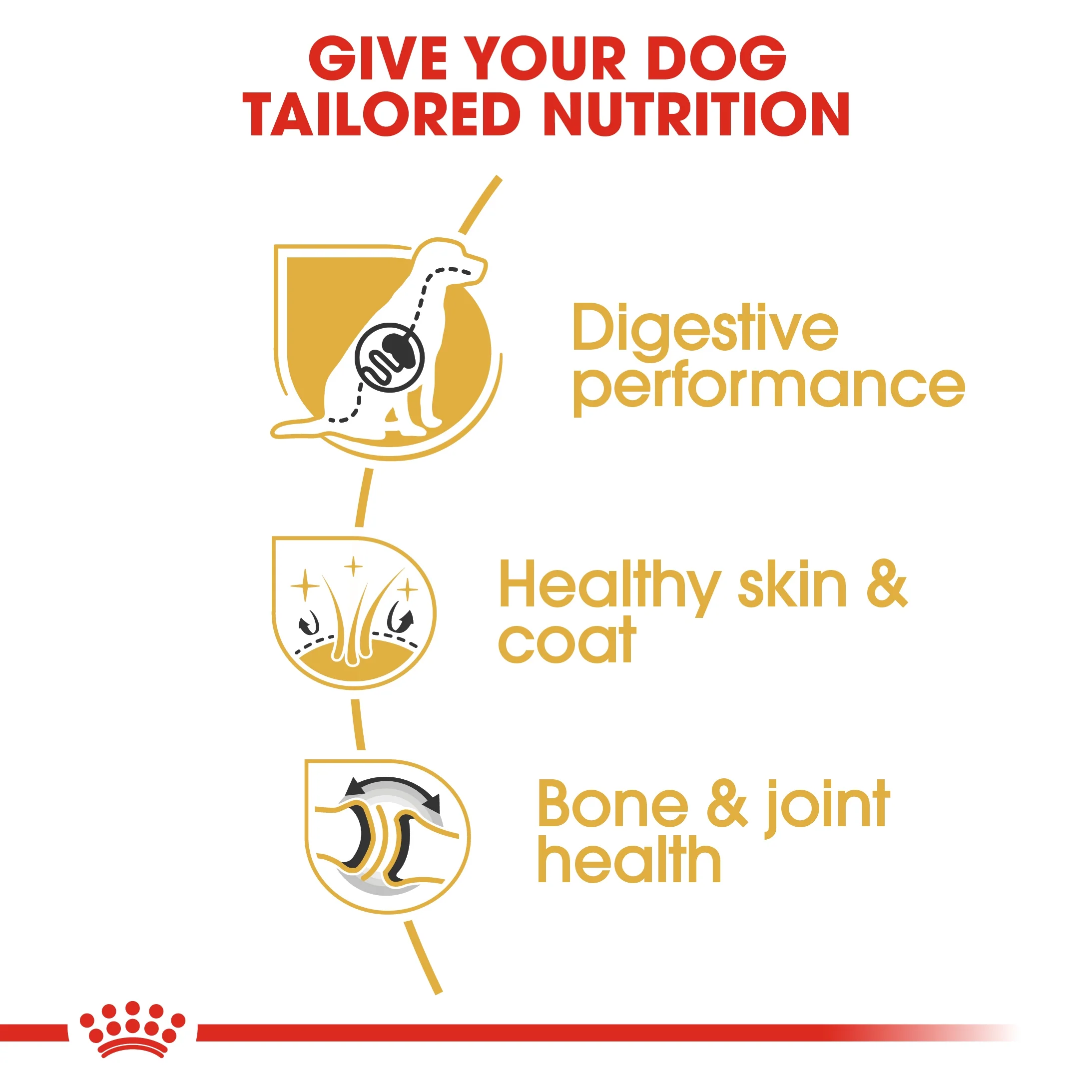 Royal Canin Breed Health Nutrition German Shepherd Adult Dry Food - 3kg - Image 4