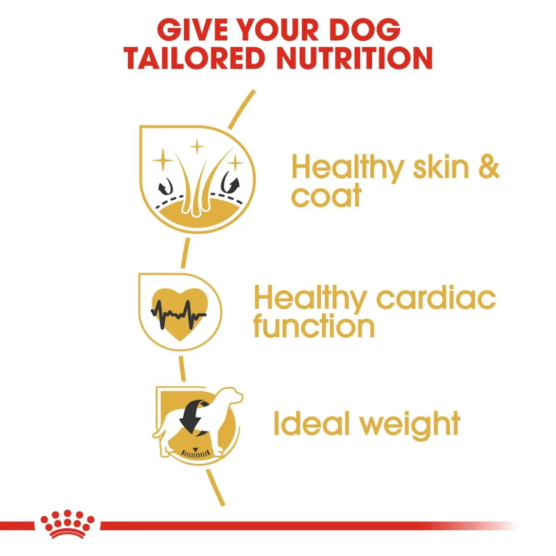 Royal Canin Breed Health Nutrition Golden Retriever Adult Dry Food - 12kg - Image 6