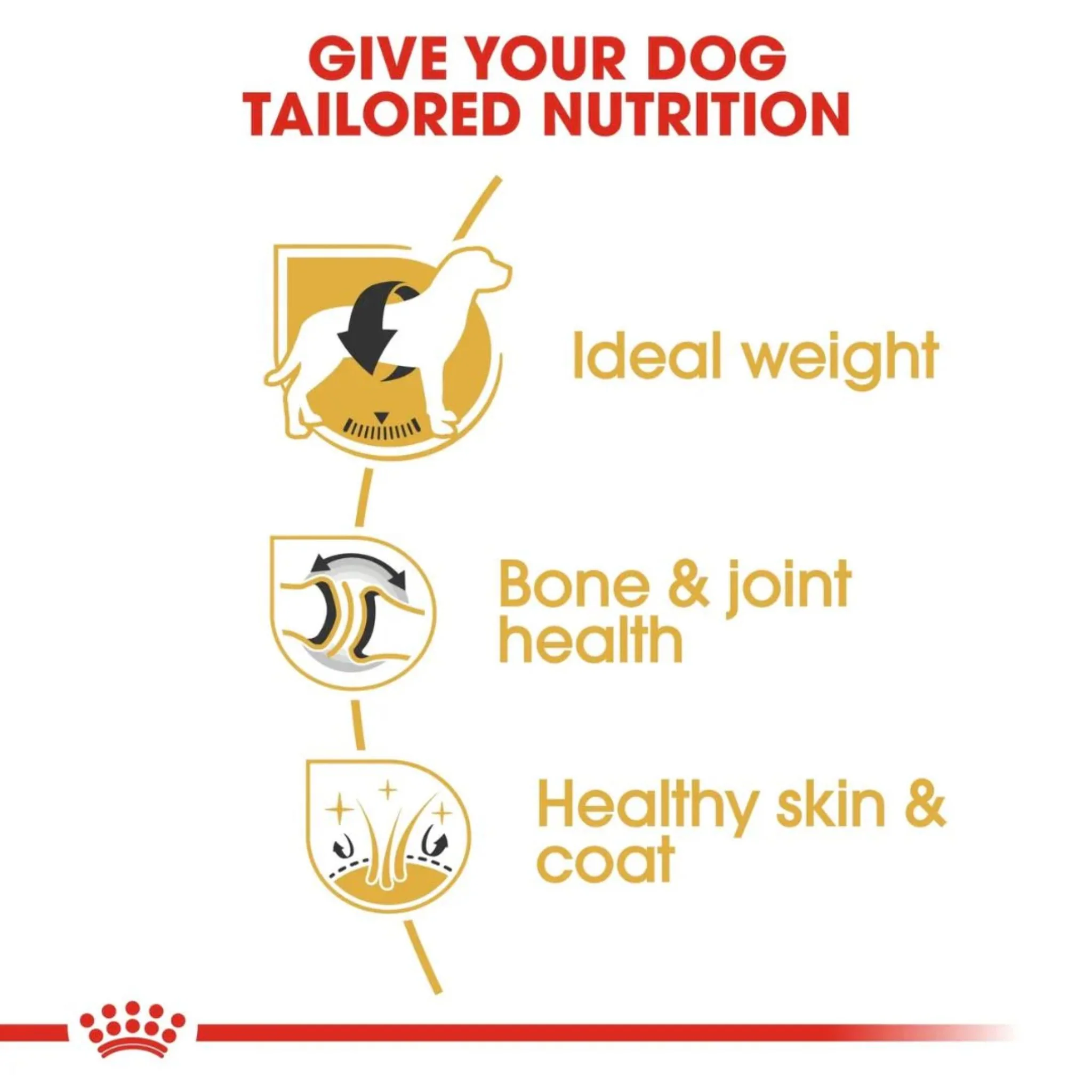 Royal Canin Breed Health Nutrition Labrador Adult Dry Food - 12kg - Image 3