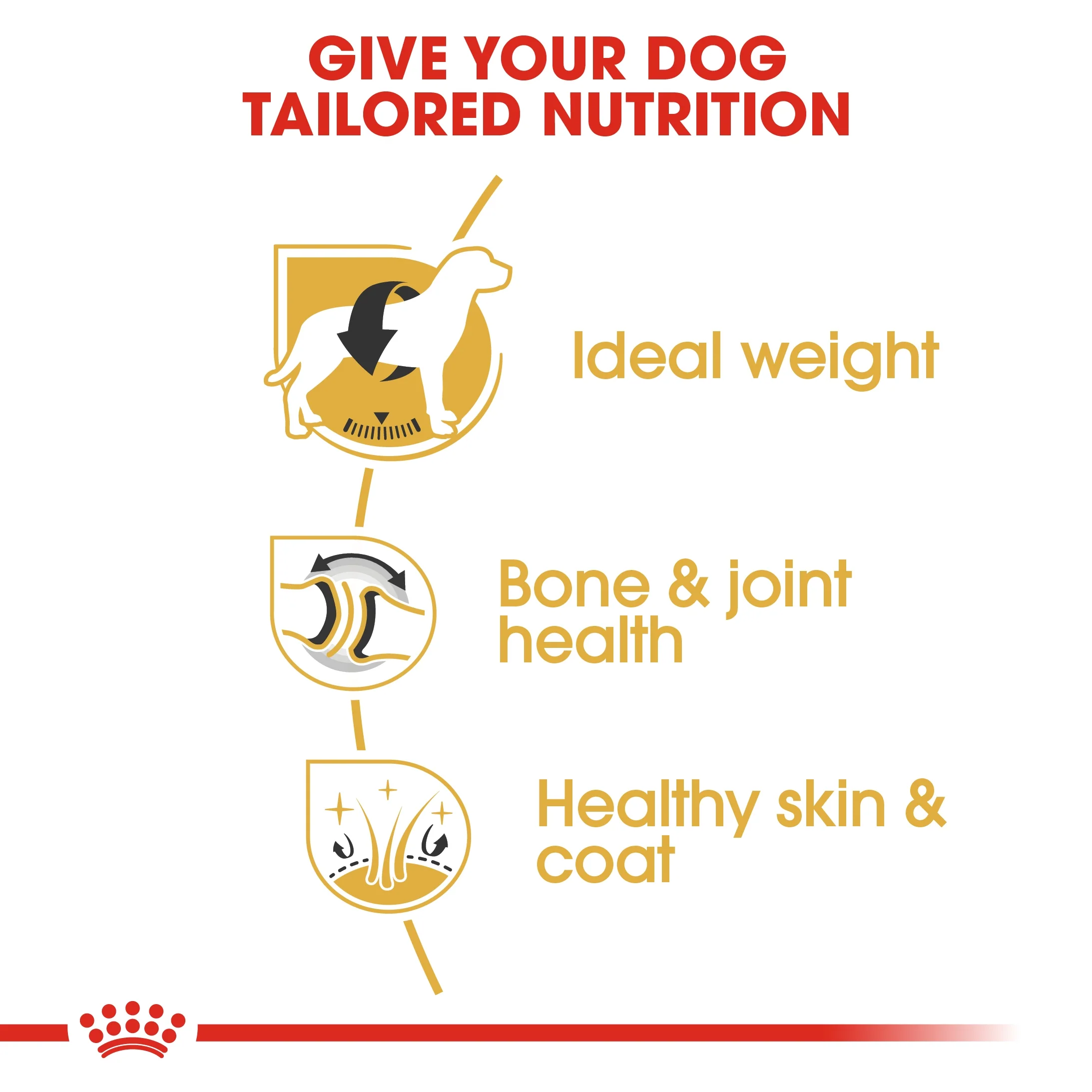 Royal Canin Breed Health Nutrition Labrador Adult Dry Food - 3kg - Image 3