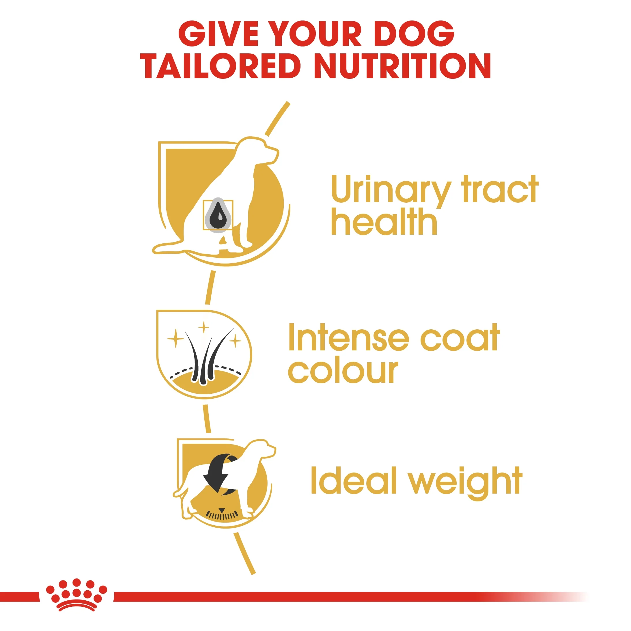 Royal Canin Breed Health Nutrition Miniature Schnauzer Dry Food - 3kg - Image 7