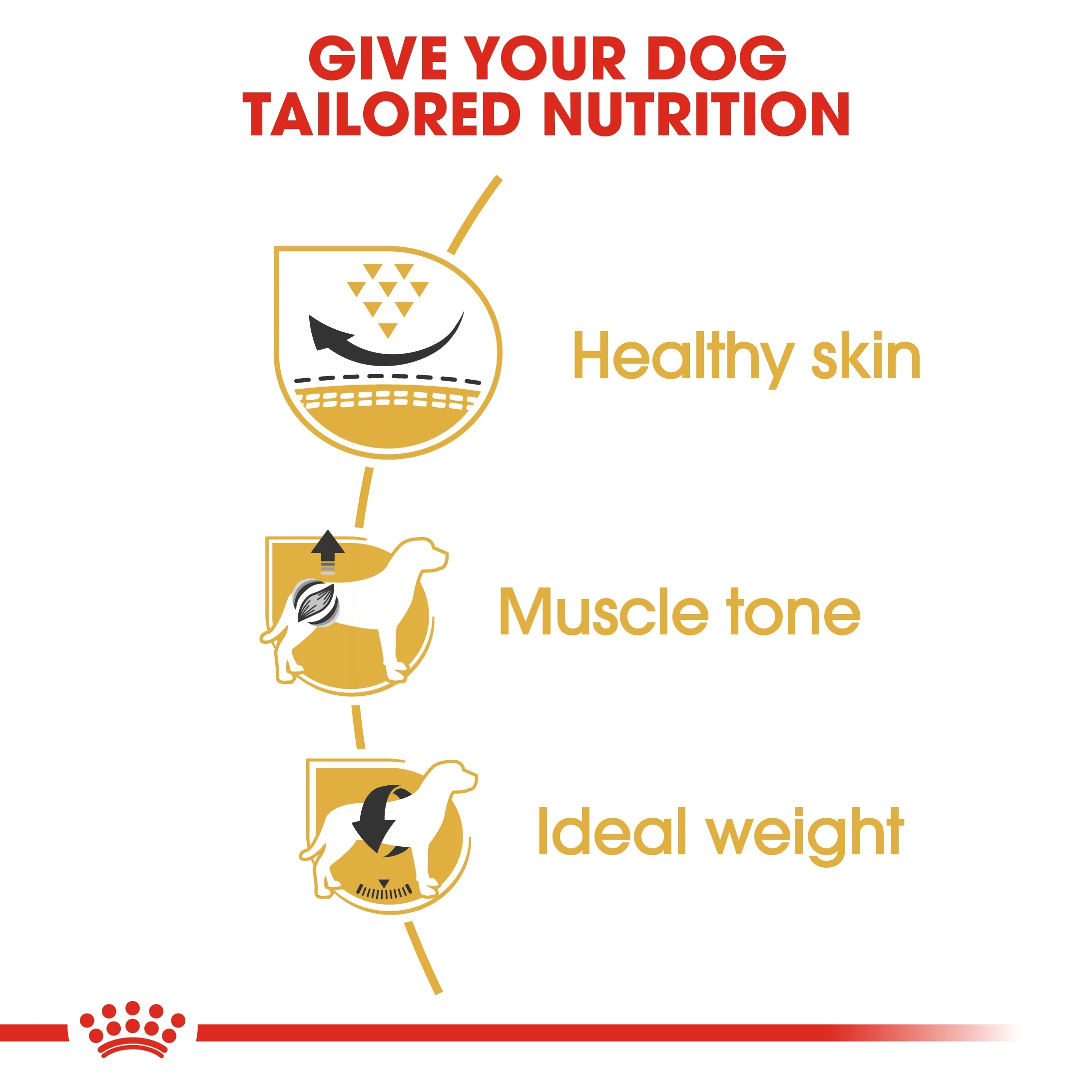 Royal Canin Breed Health Nutrition Pug Adult Dry Food - 1.5kg - Image 6