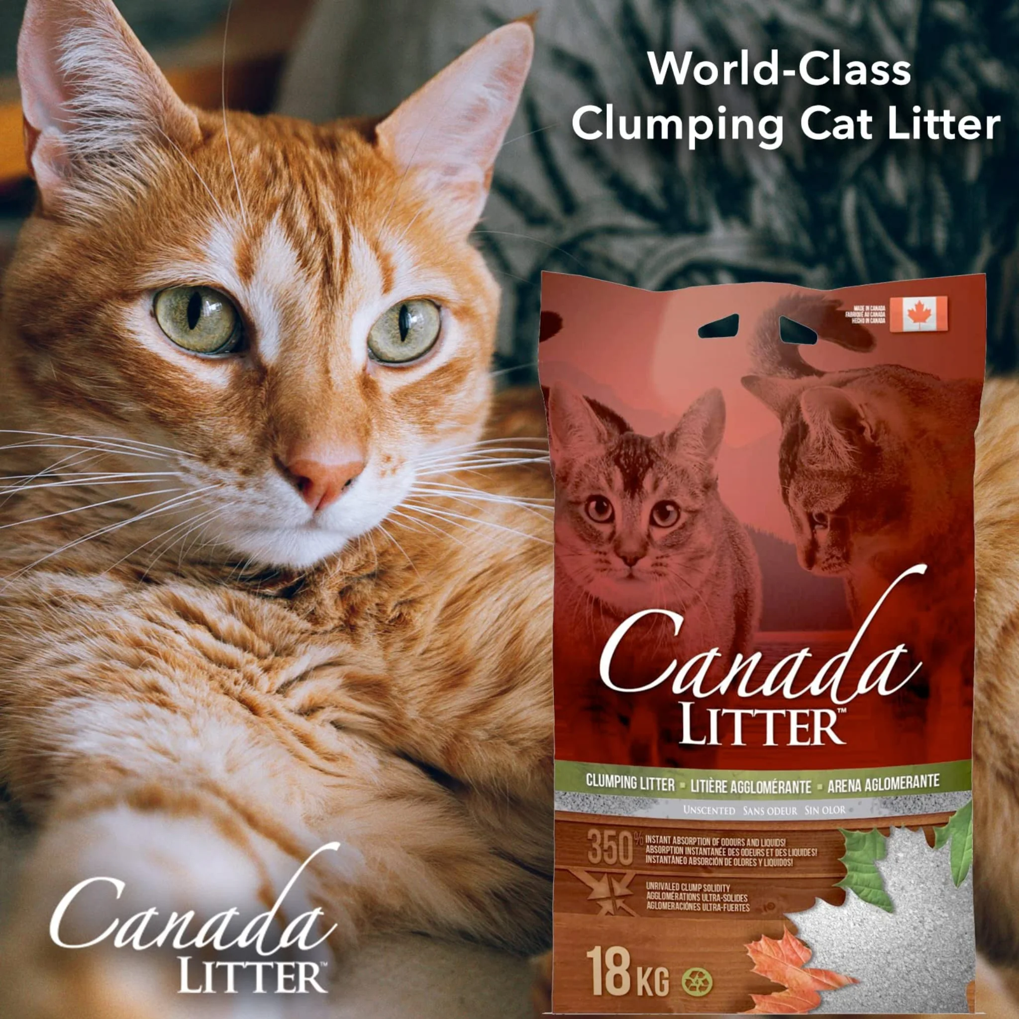 Canada Litter Lavender Flavor Cat Litter - Image 4
