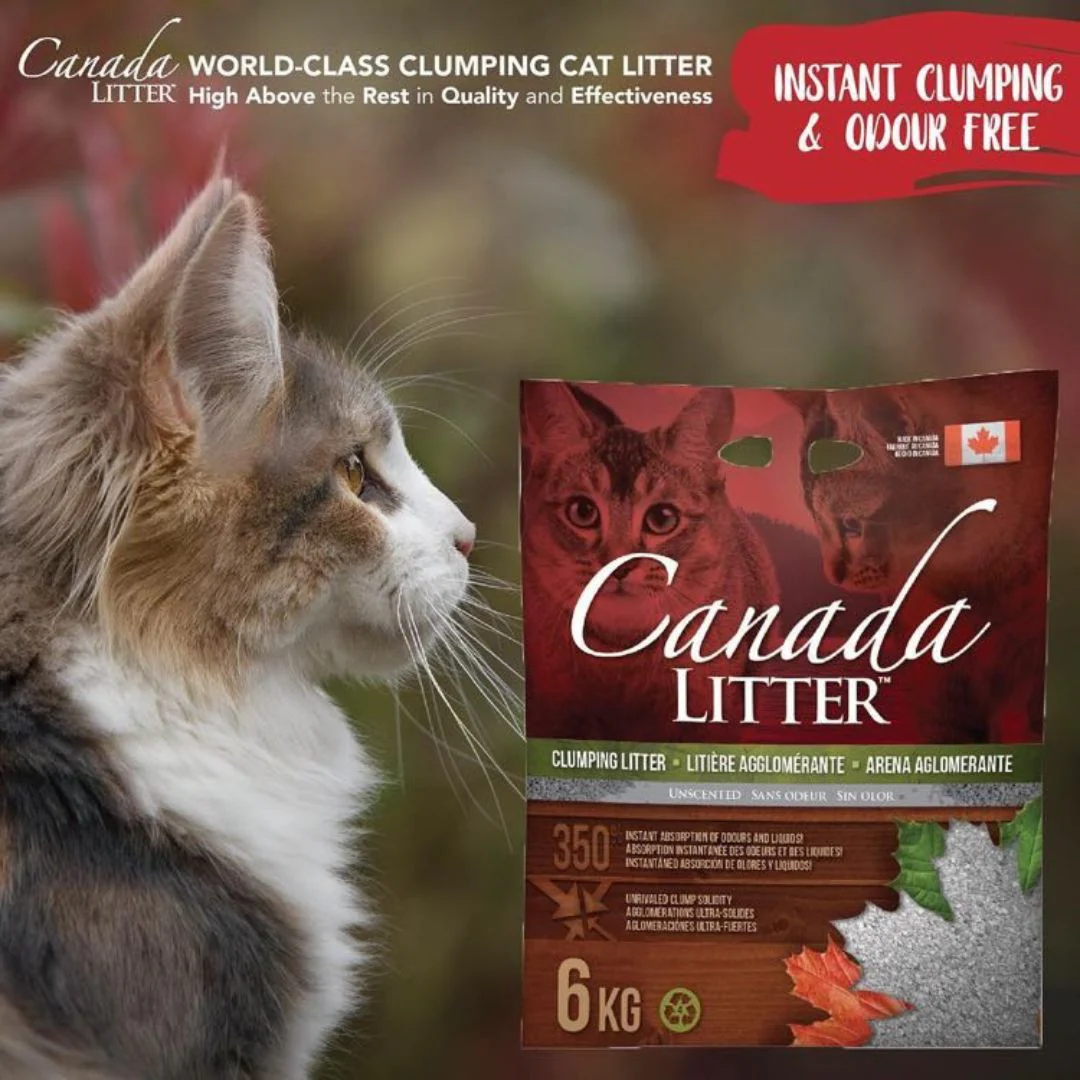Canada Litter Unscented Cat Litter - 6KG - Image 2