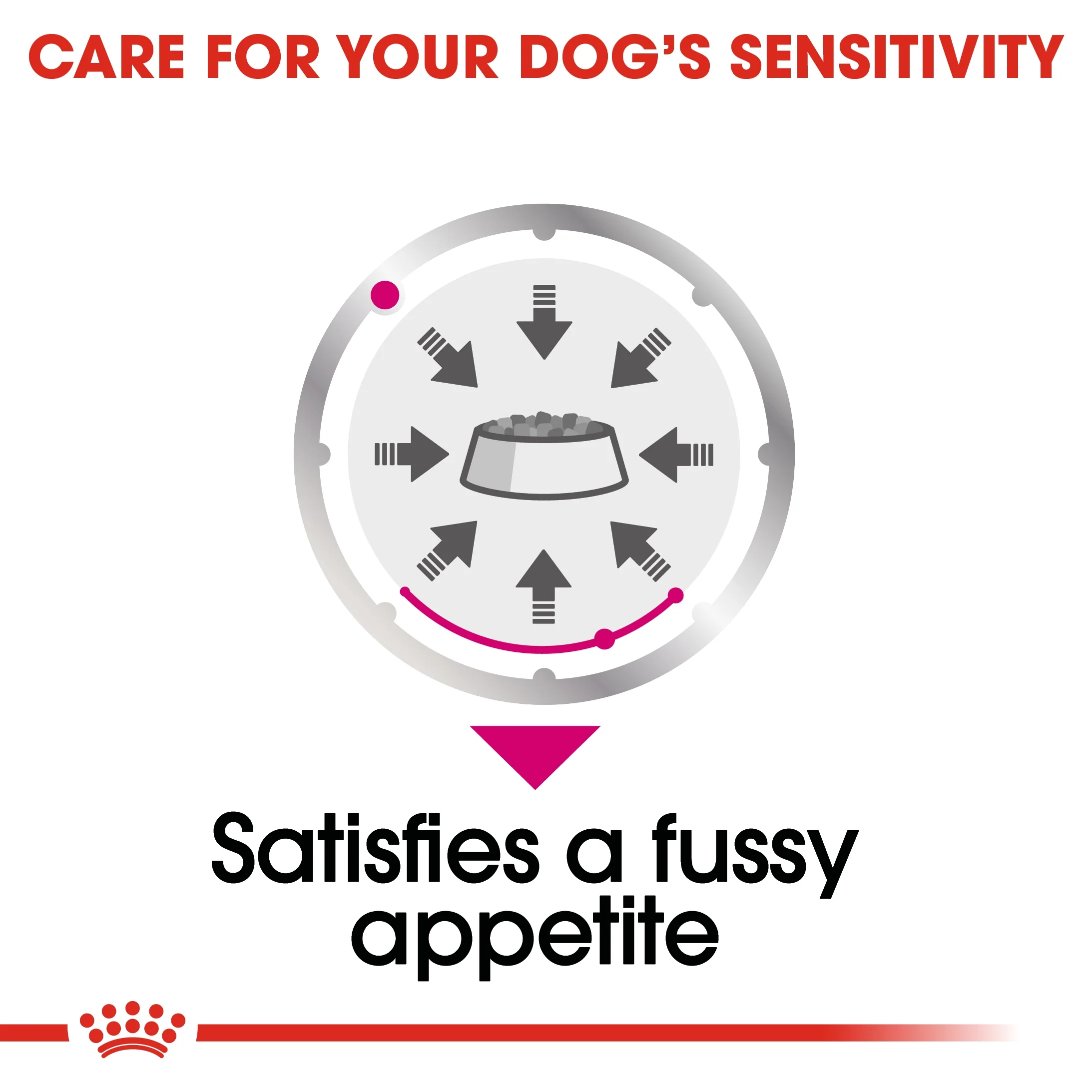 Royal Canin Canine Care Nutrition Exigent Dog Wet Food - 85g - Image 2