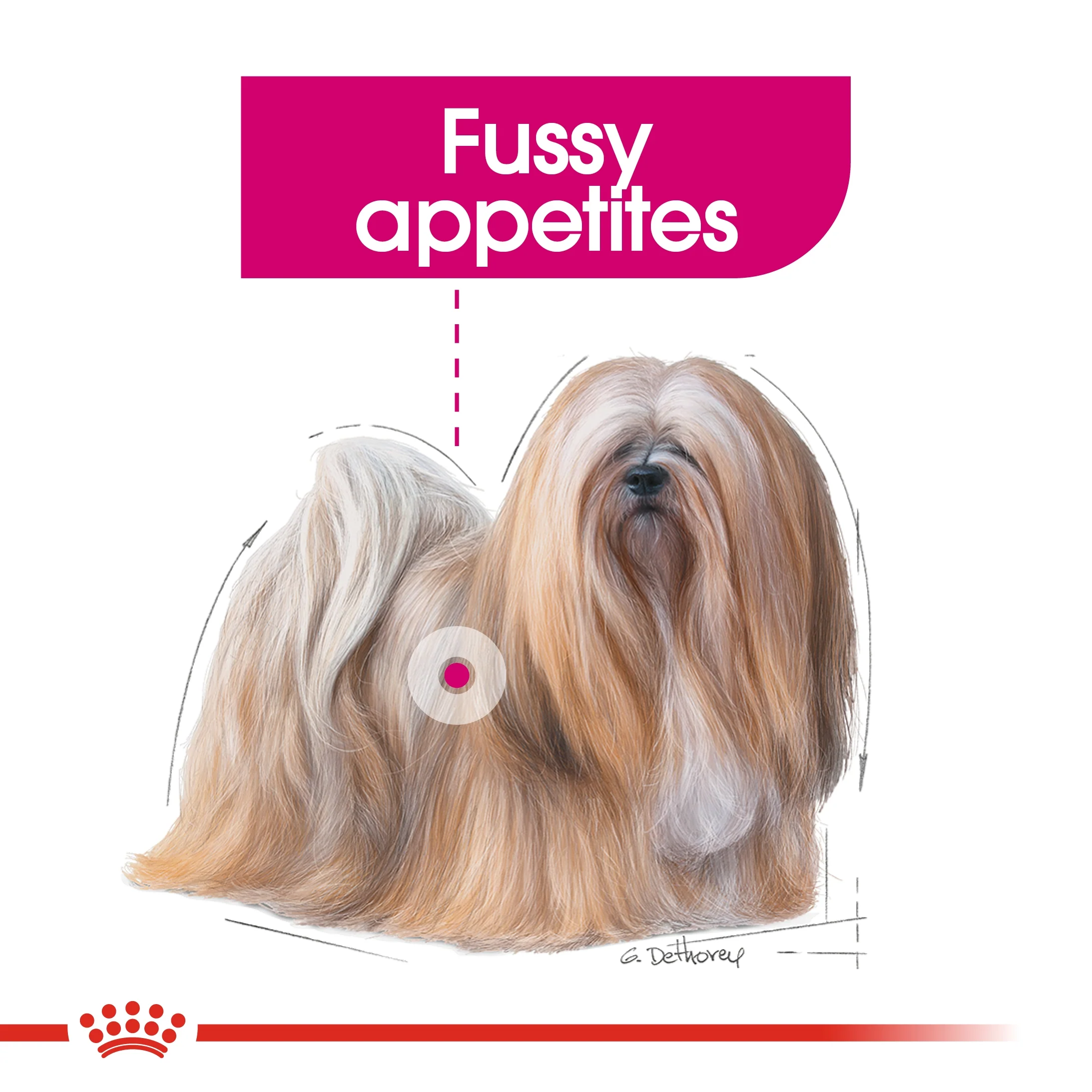 Royal Canin Canine Care Nutrition Exigent Dog Wet Food - 85g - Image 3