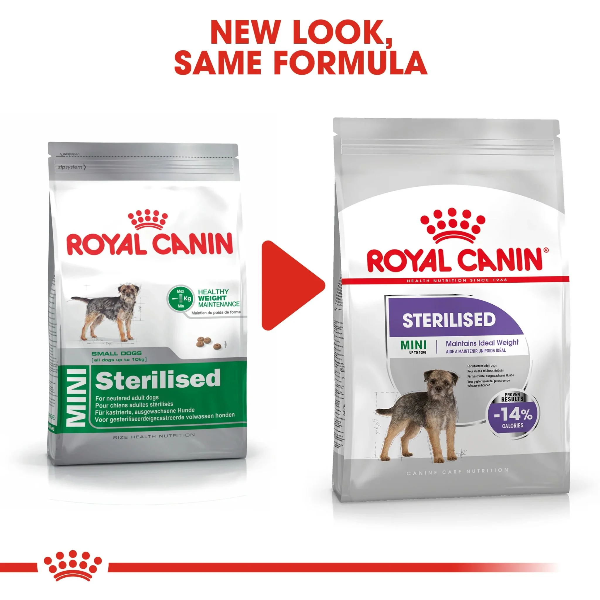 Royal Canin Canine Care Nutrition Mini Sterilised Adult Dry Dog Food - 3kg - Image 2