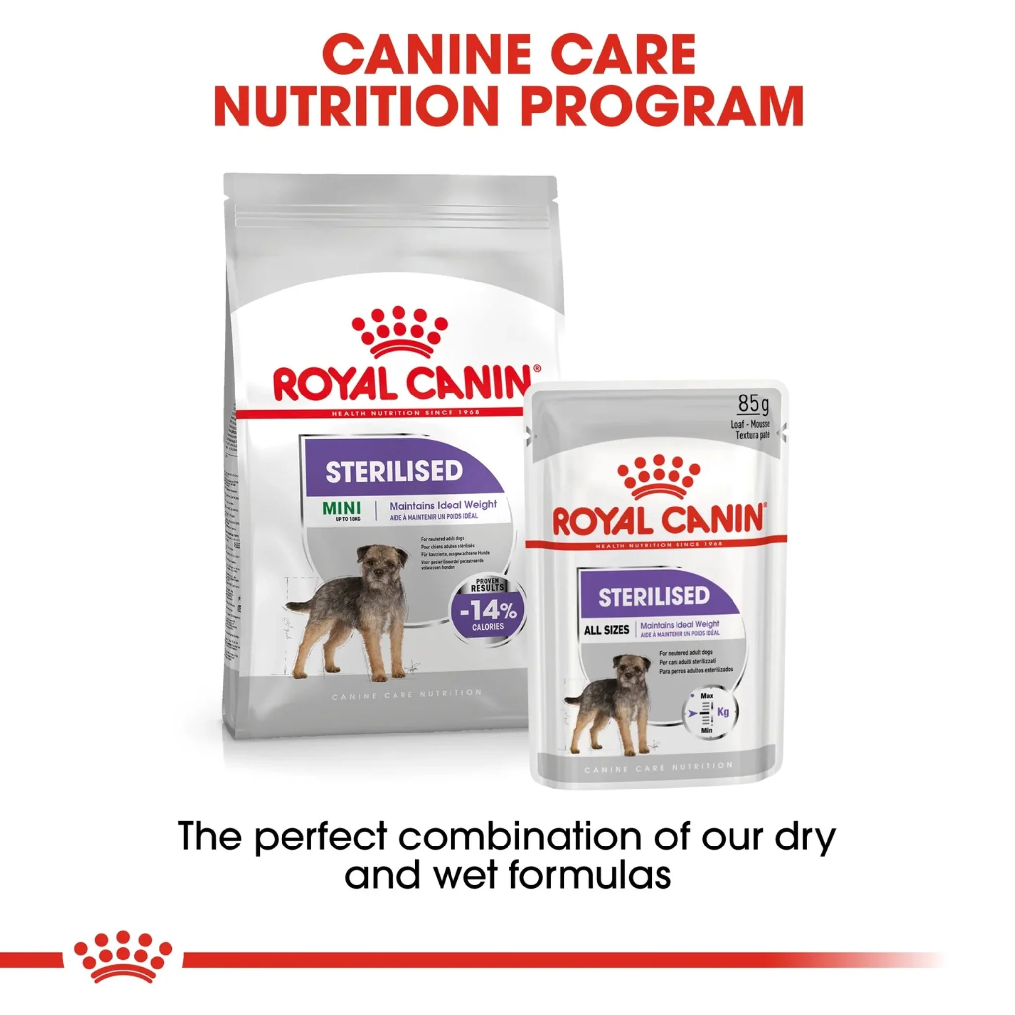 Royal Canin Canine Care Nutrition Mini Sterilised Adult Dry Dog Food - 3kg - Image 4