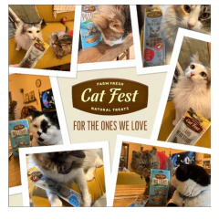 Cat Fest Pillows With Beef Cream Cat Treats - 30g - Image 4