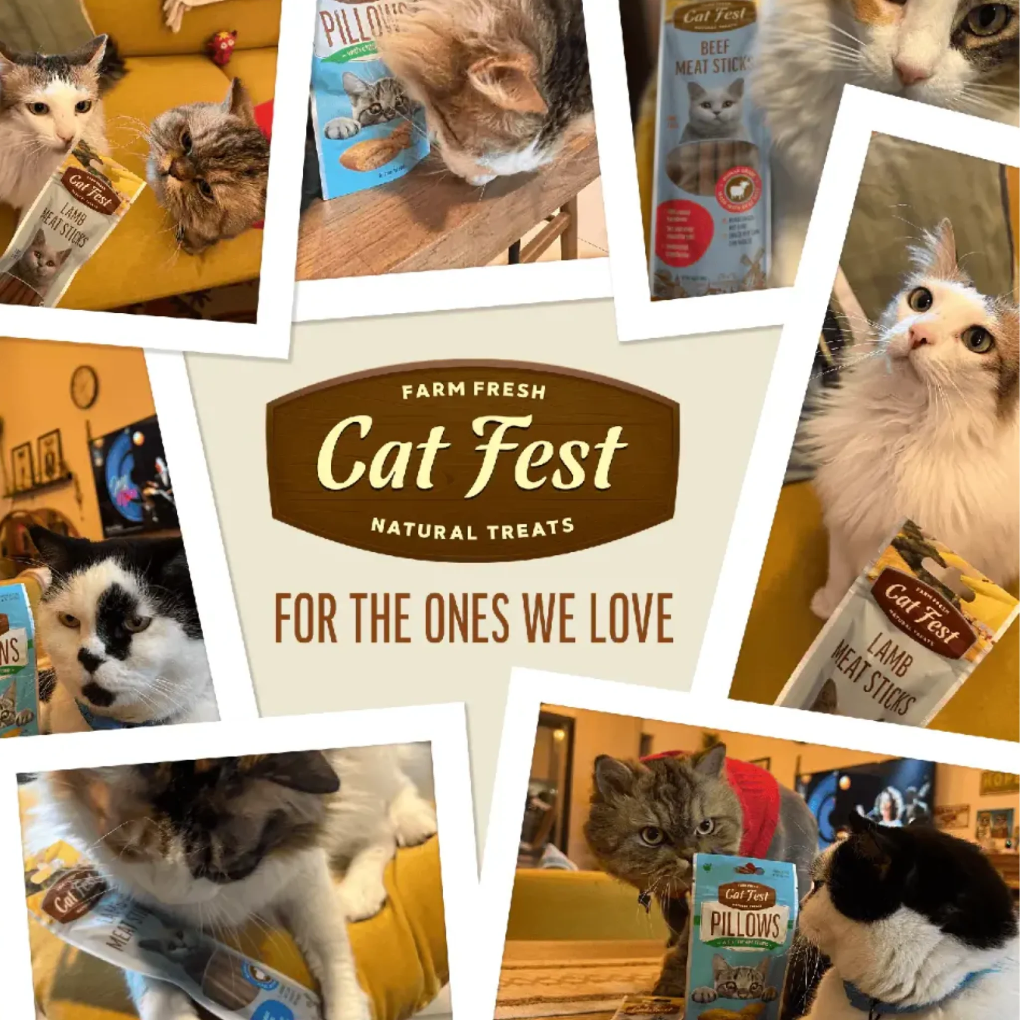 Cat Fest Pillows With Chicken Cream Tasty Cat Snacks – 30g - Image 5