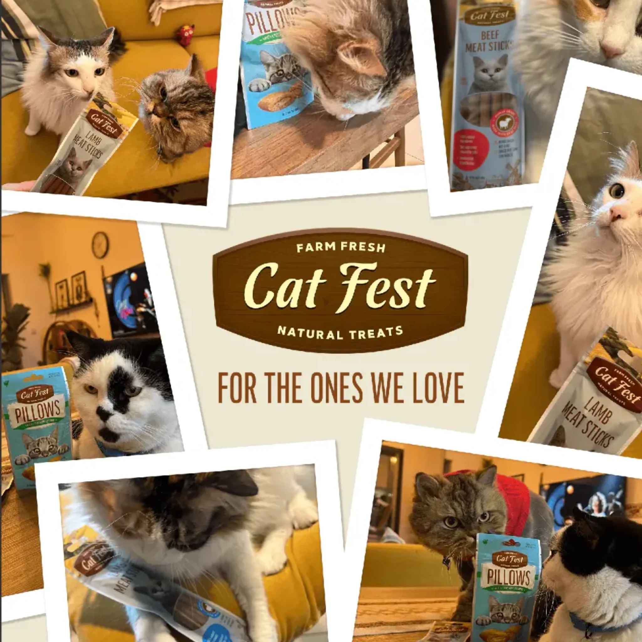 Cat Fest Pillows With Crab Cream Gourmet Cat Treats – 30g - Image 5