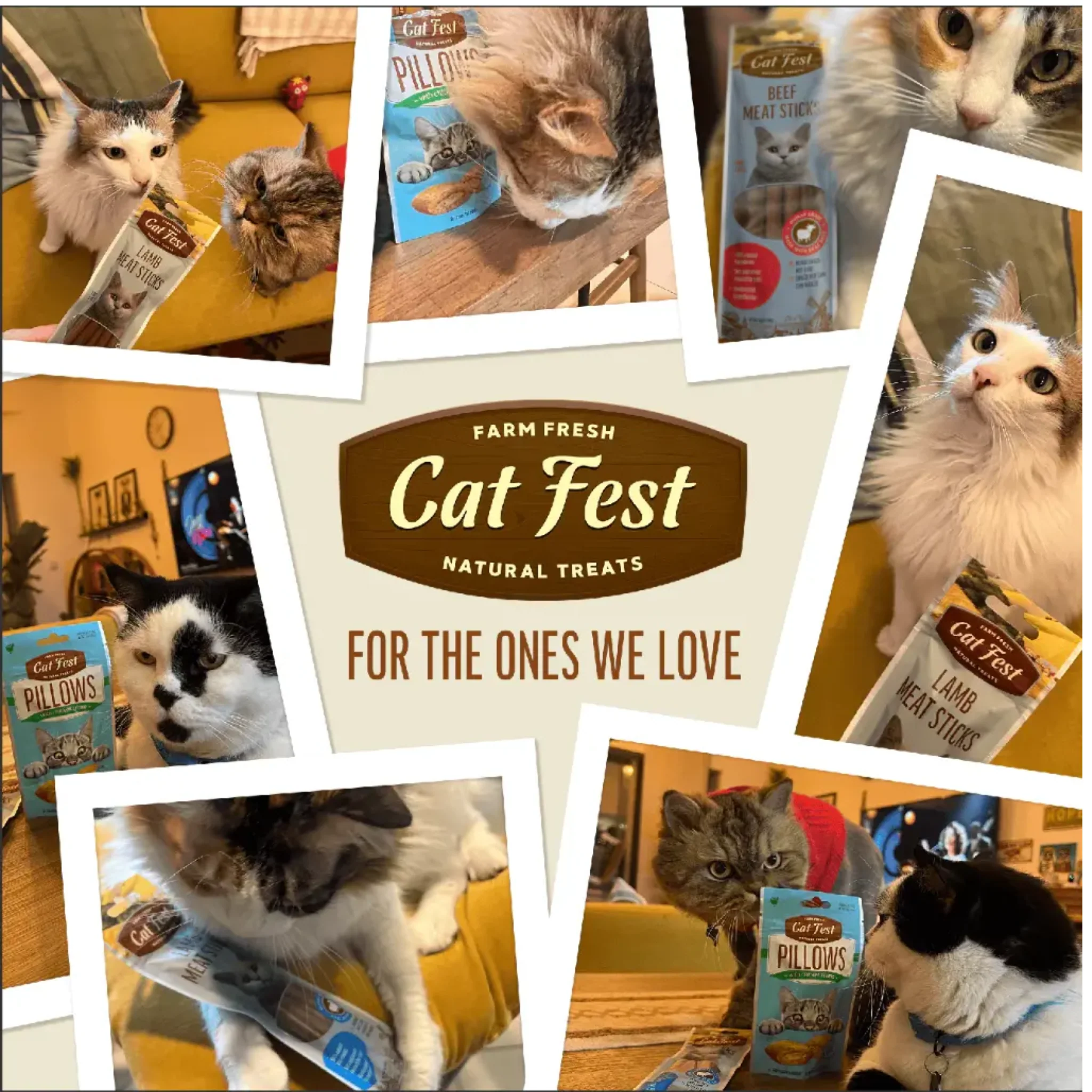 Cat Fest Pillows With Salmon Cream Omega-Rich Cat Snacks – 30g - Image 5