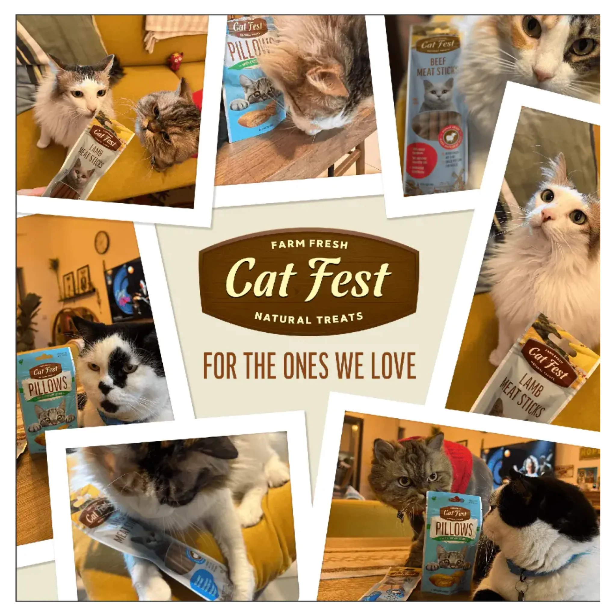 Cat Fest Pillows With Shrimp Cream Savory Cat Treats – 30g - Image 5