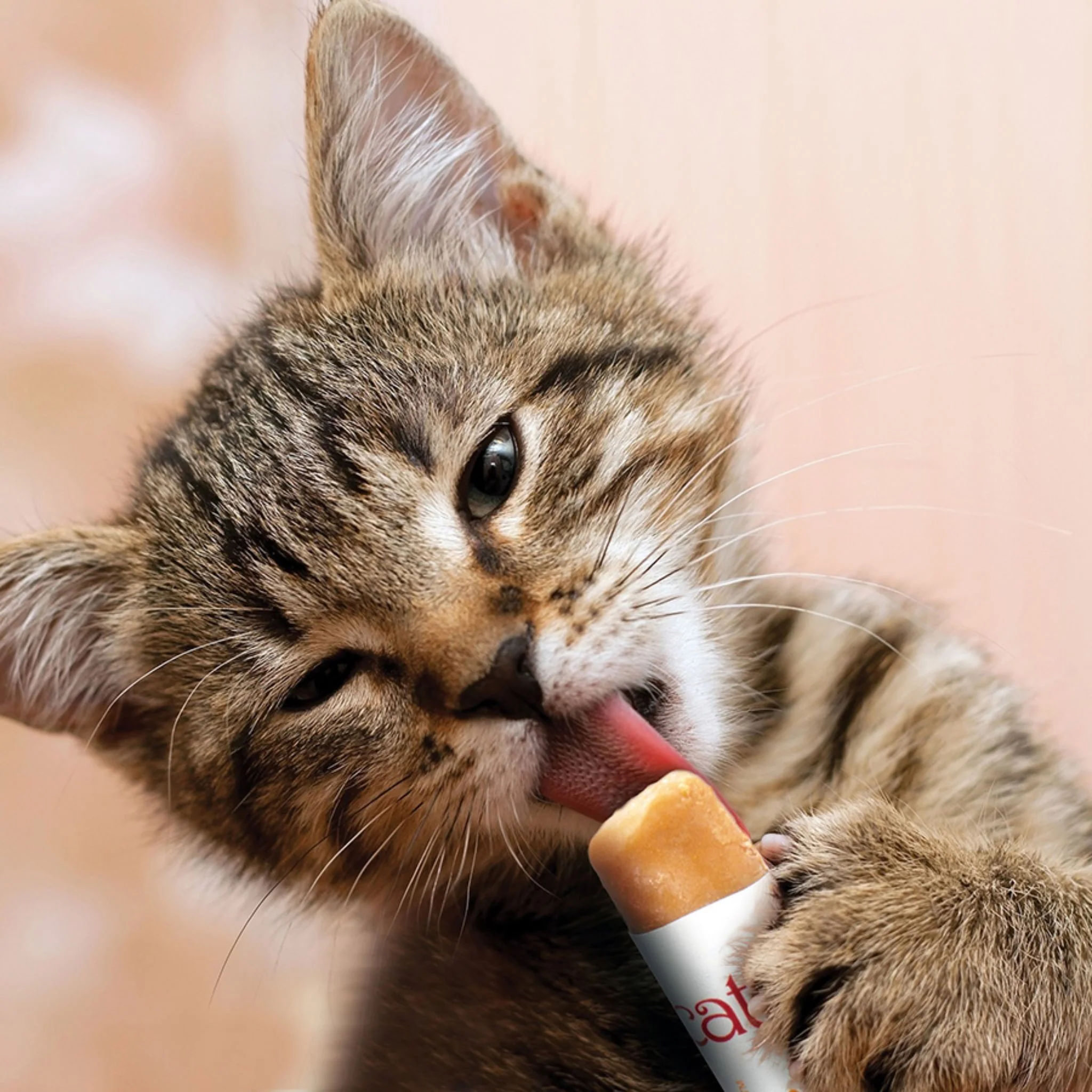 Catit Creamy Lickable Cat Treats With Chicken & Lamb -  4x10g - Image 3