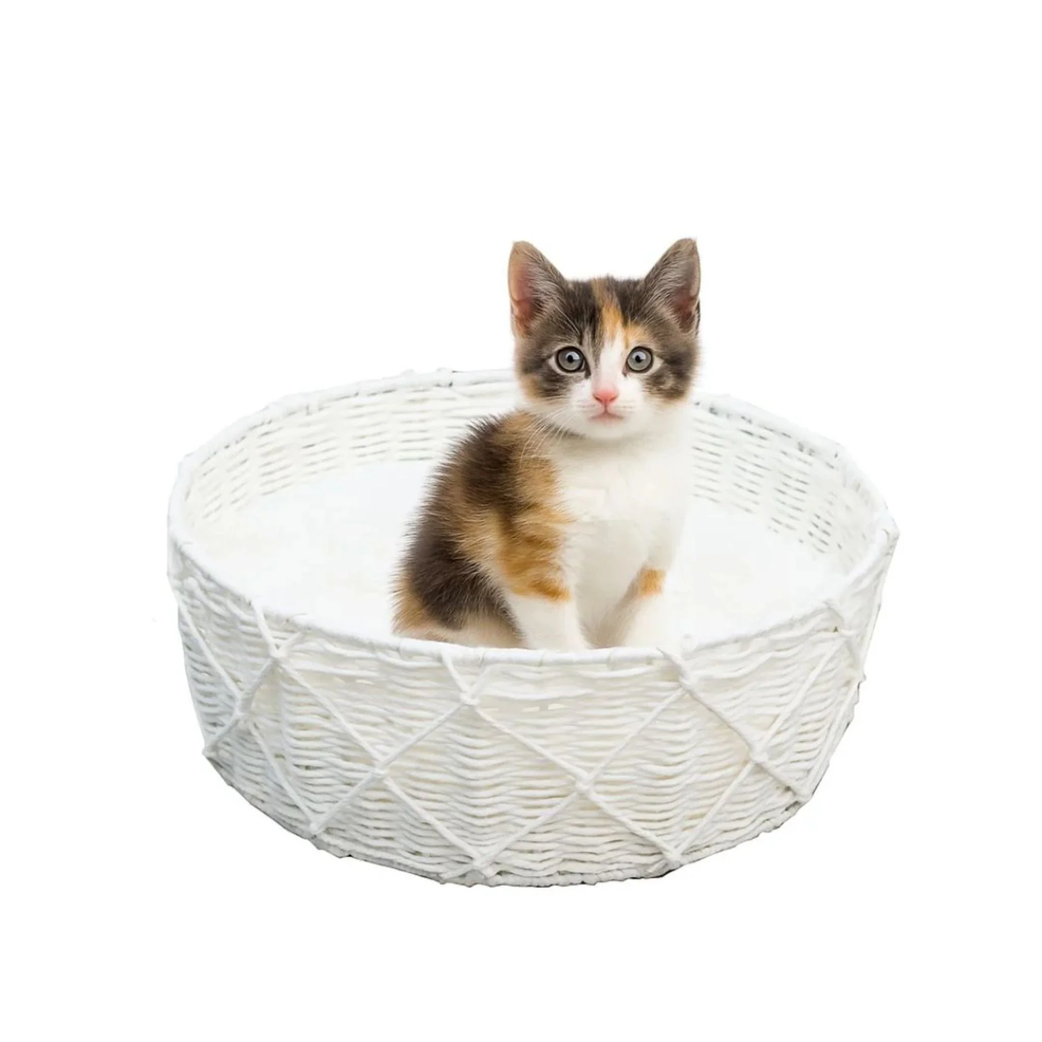 Catry Cat Bed Basket - 40x40x15hcm - Image 2