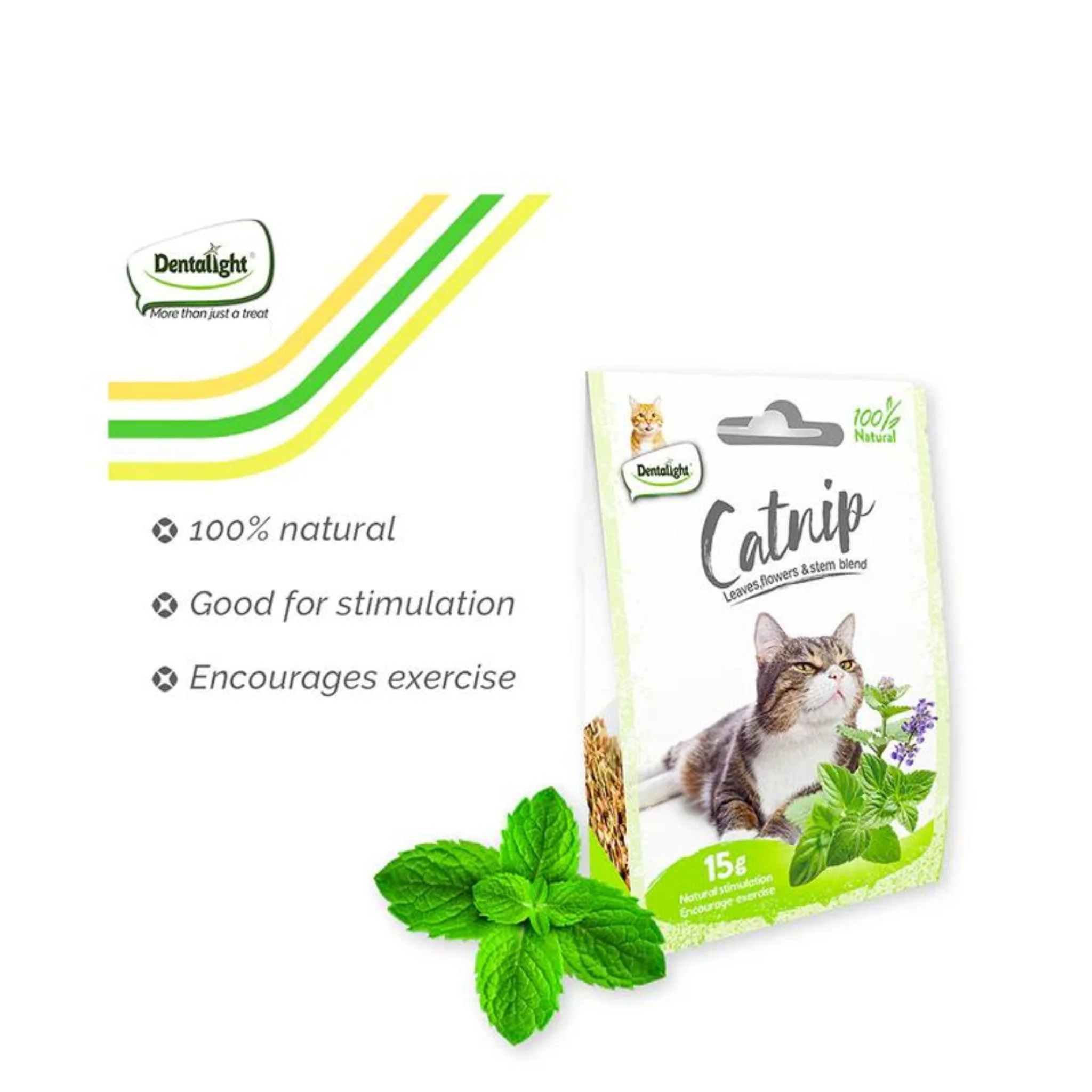 Dentalight Natural Cat Catnip - 15g - Image 3