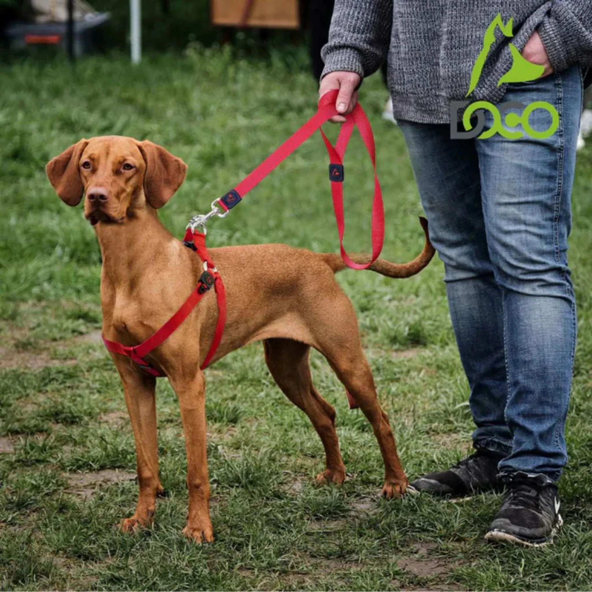 Doco 4Ft Signature Nylon Leash Pink - XS - Image 2