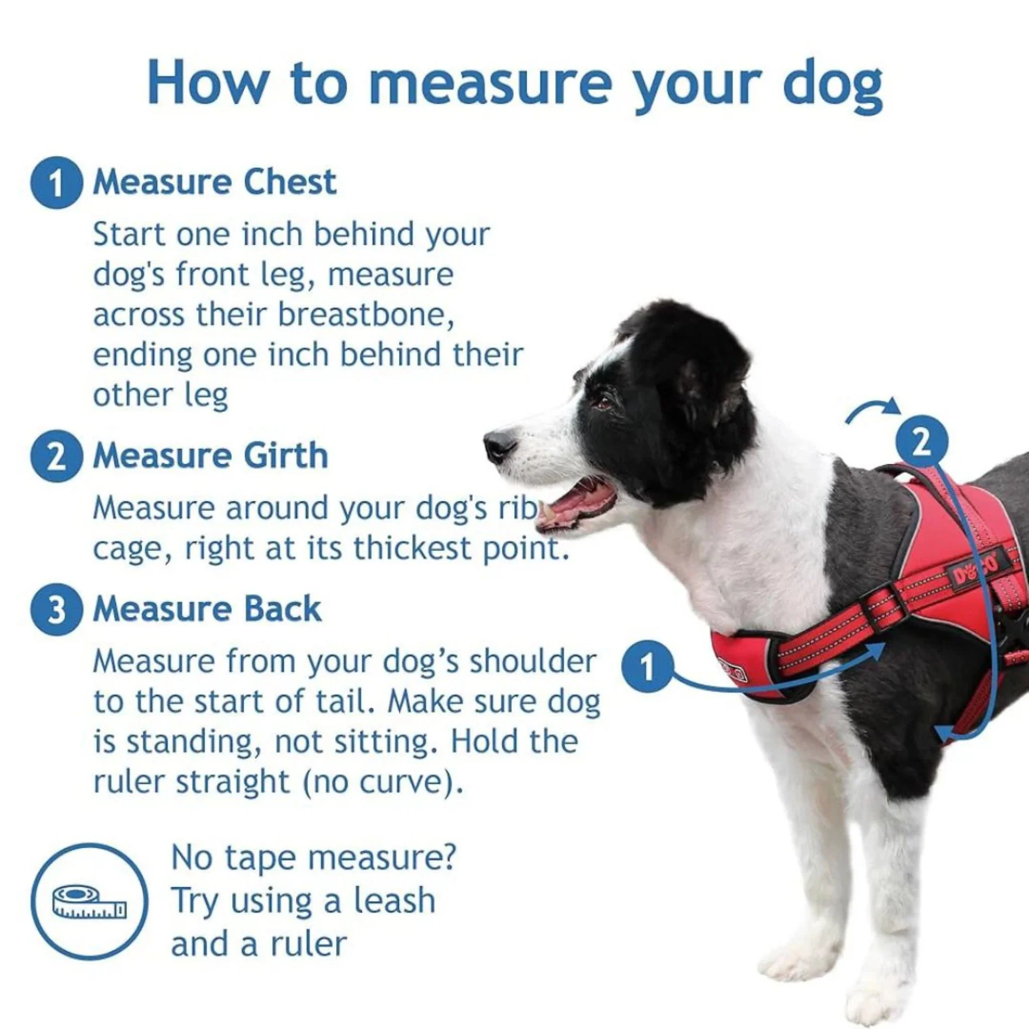 Doco Athletica Quick V Mesh Harness - Image 3