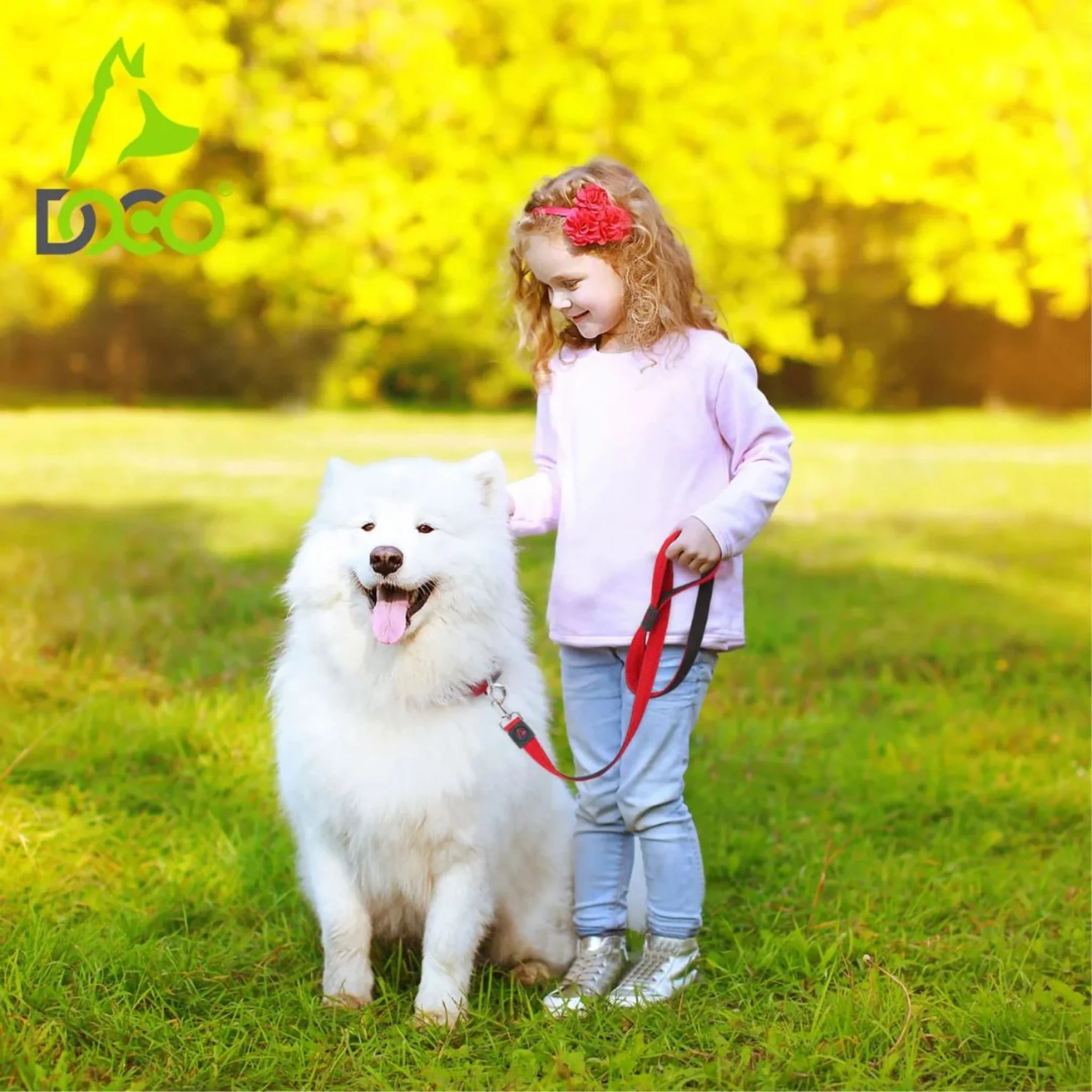 Doco Jelly Bean Dog Leash - 5Ft - Image 5