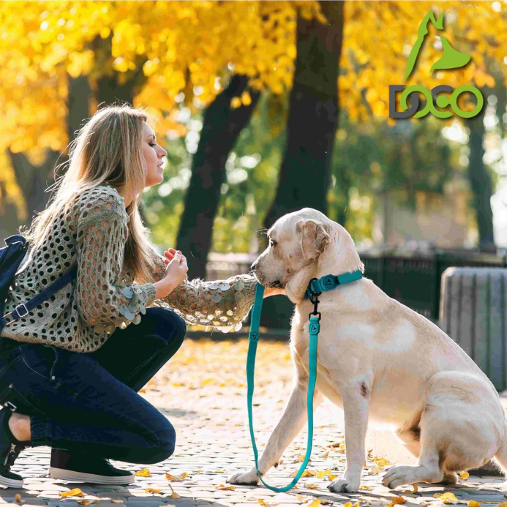 Doco Jelly Bean Dog Leash - 6Ft - Image 5