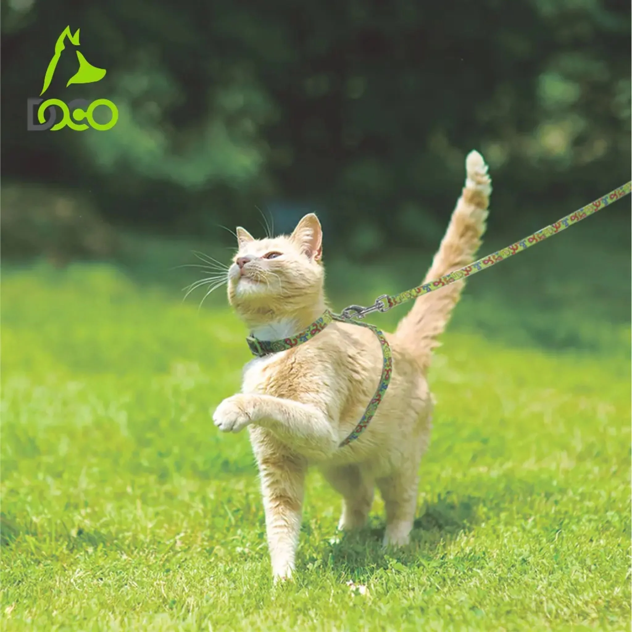 Doco Loco Cat Harness & Leash Combo With Printed Pattern Q1 DCAT202+2072 - XS/6Ft - Image 6