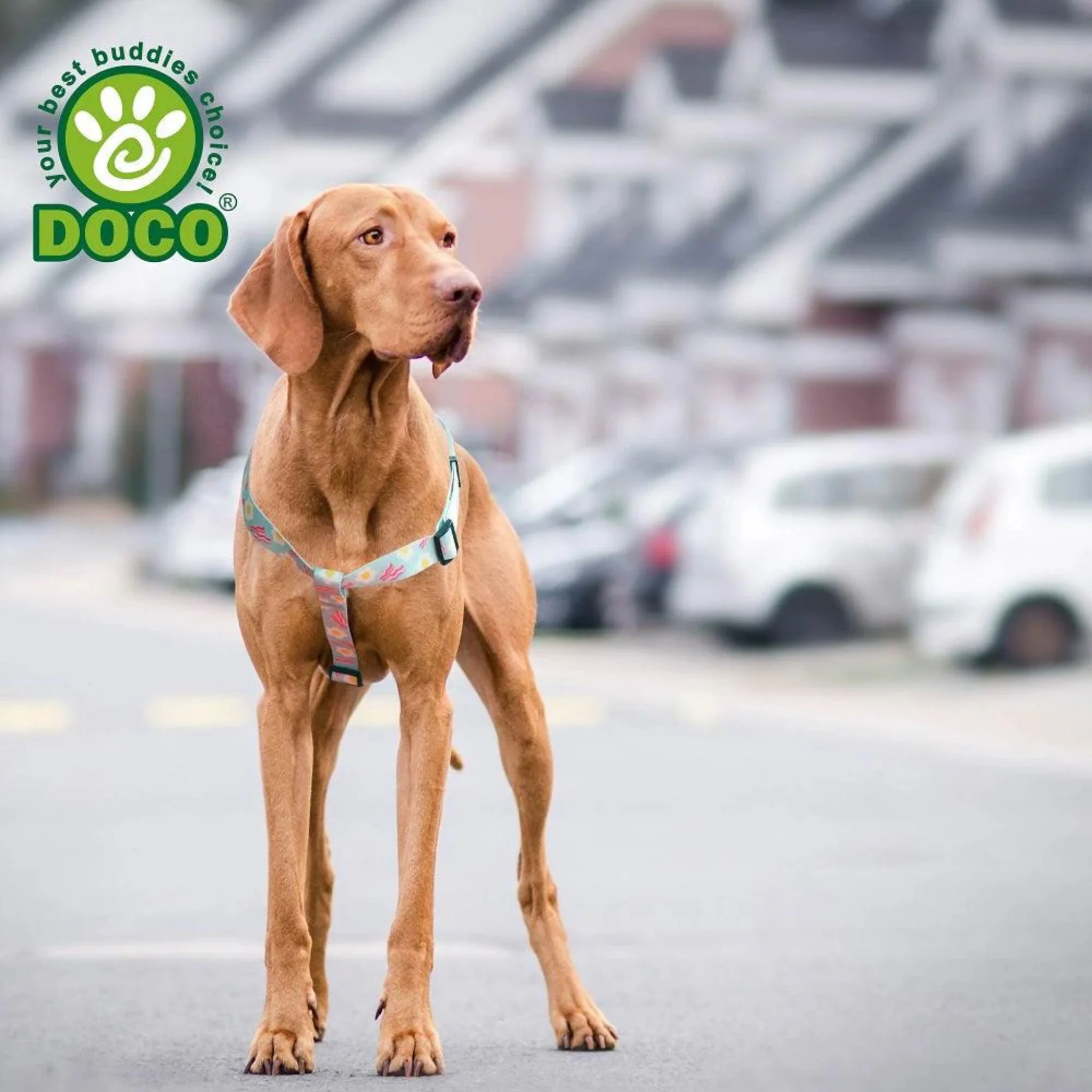 Doco Loco Step In Dog Harness FM - 2.0x51-74cm - Image 5